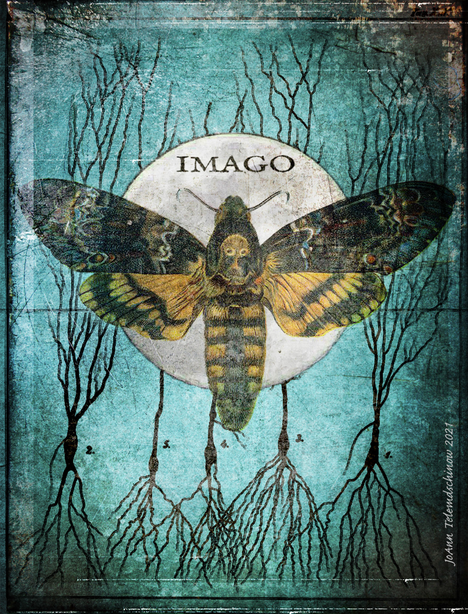 JoAnn Telemdschinow  |  Imago  |  mixed media  |  imaginedpast.weeblysite.com