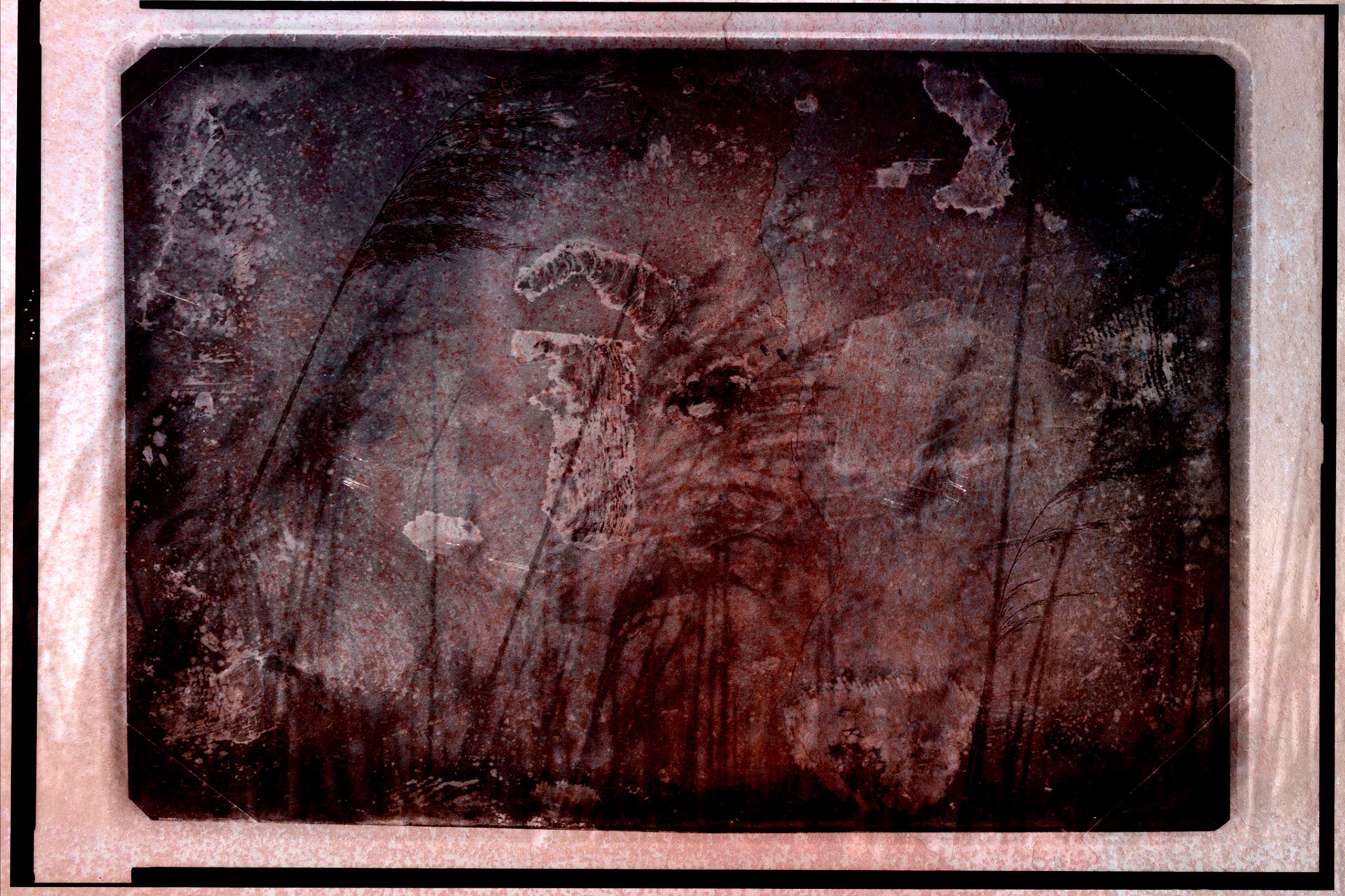 Douglas W. Milliken - Crickets - douglaswmilliken.com