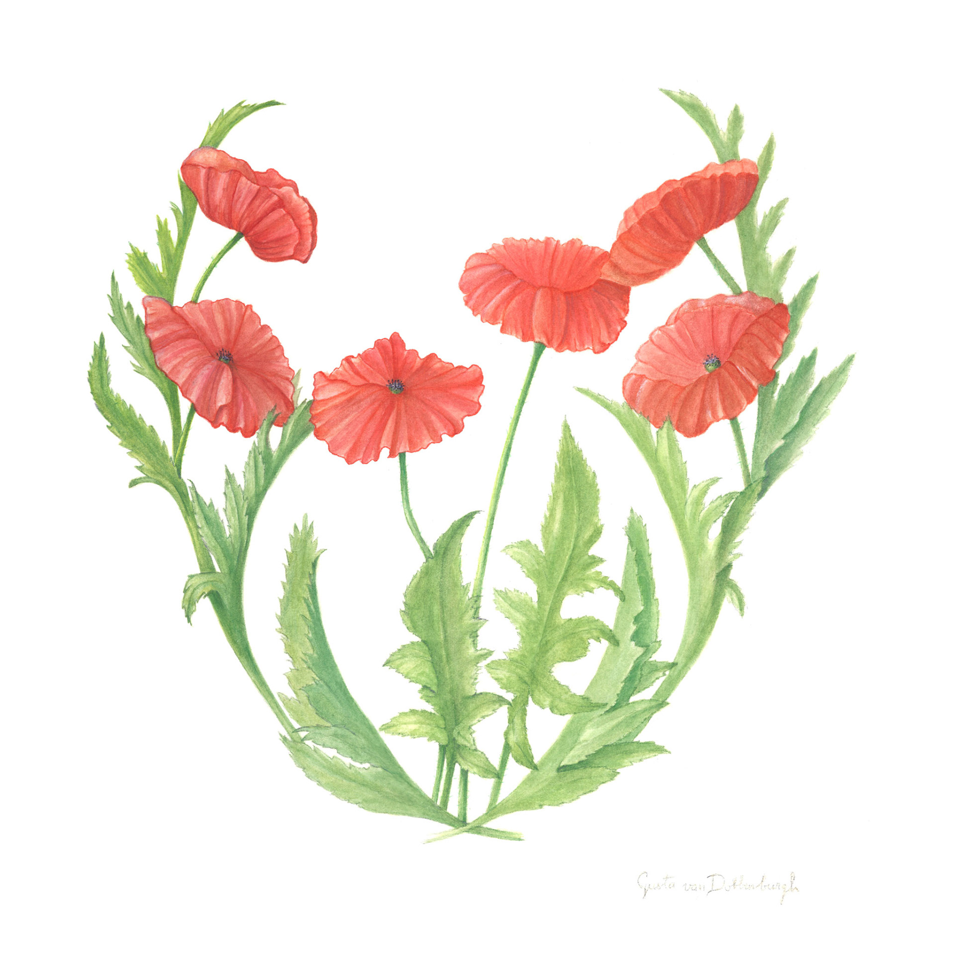 Gusta van Dobbenburgh - Remembrance - watercolor - gustavandobbenburgh.com/art.php?lang=en