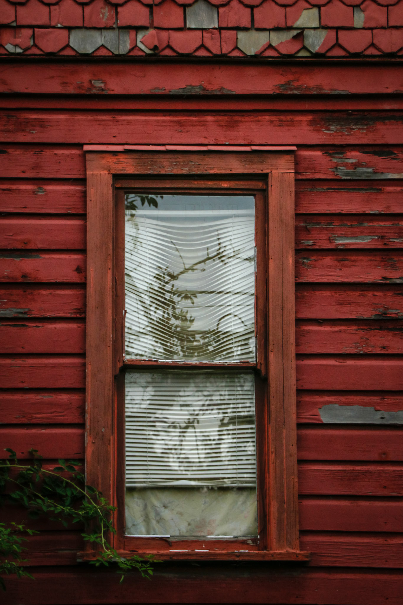 Steve Patterson - The Beauty of Time - photography - www.splatterverse.com