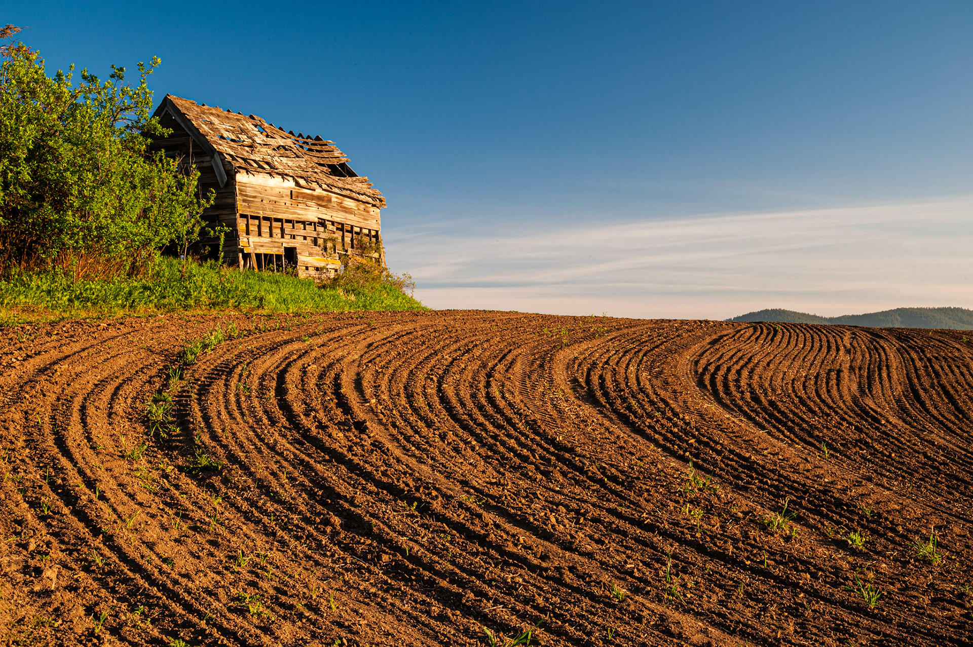 Mary Macey Butler - Long Forsaken Farmhouse in the Palouse, Washington  - photography - www.marymaceybutler.com