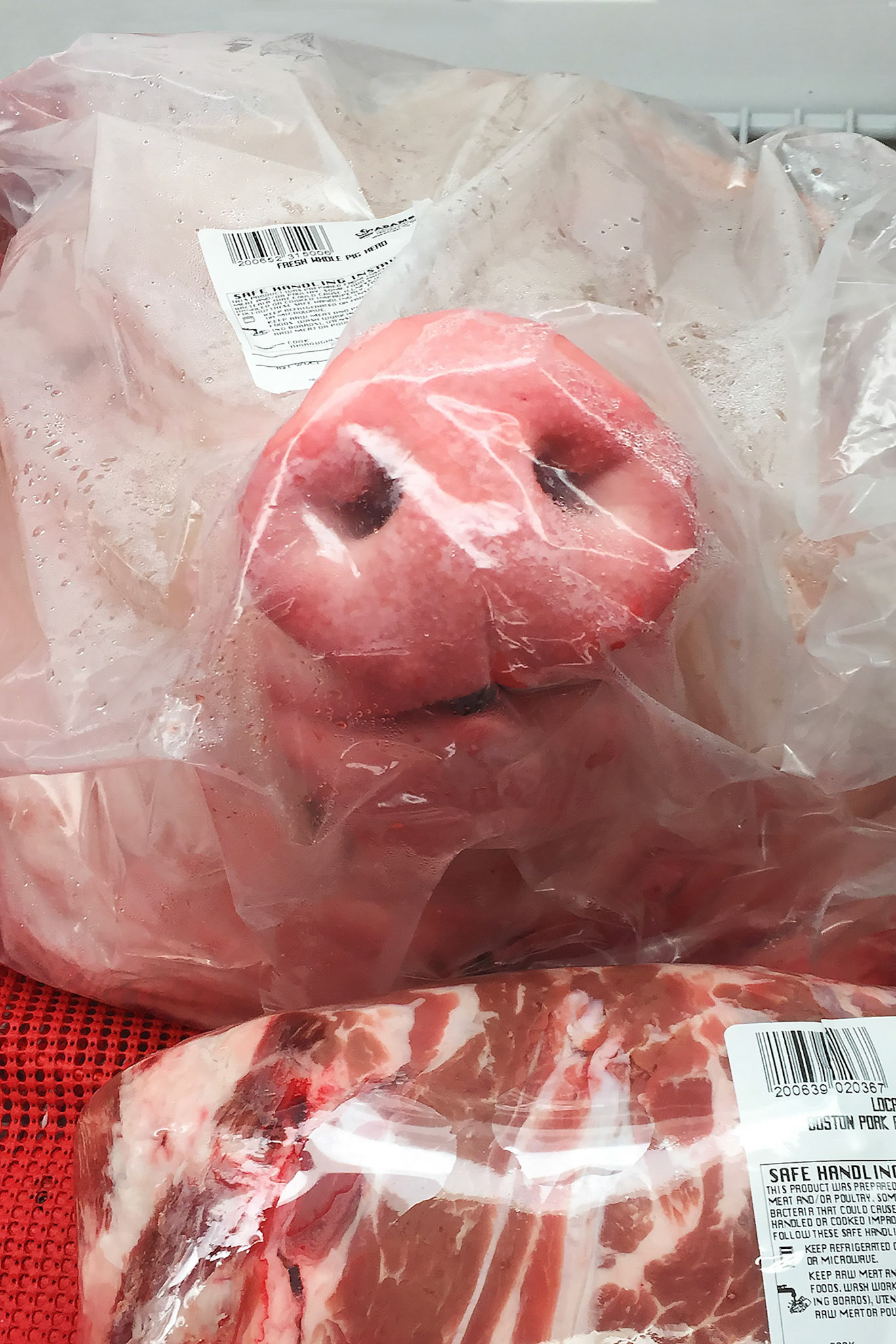 Jane Soodalter - A Face in the Crowd - photograph - janesoodalter.com