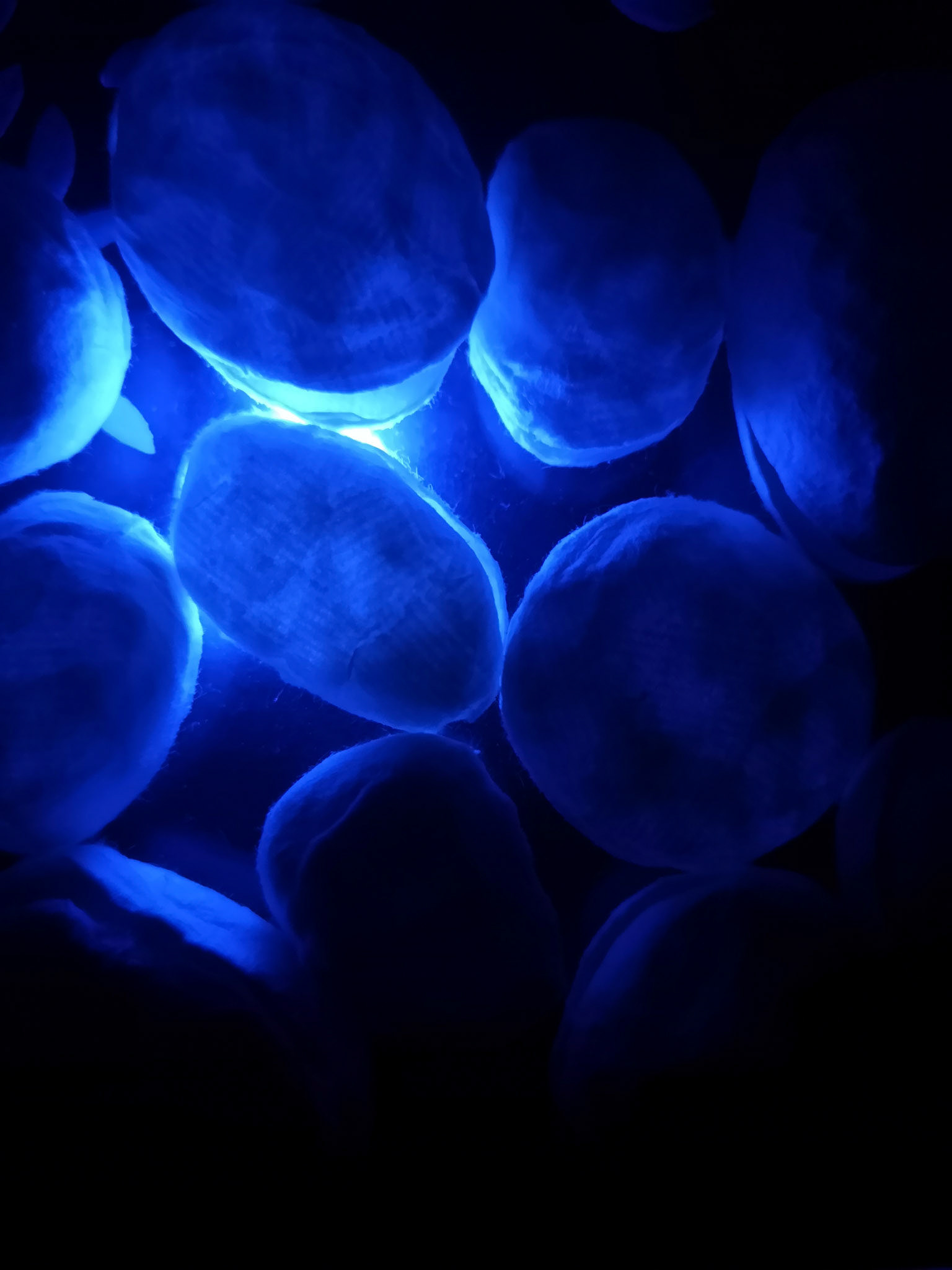 Shuailang Chen [Recognized for Uniqueness of Concept and Originality]  |  Blue Rain Flower Pebble  |  rice paper, rain flower pebble, flannelette, light