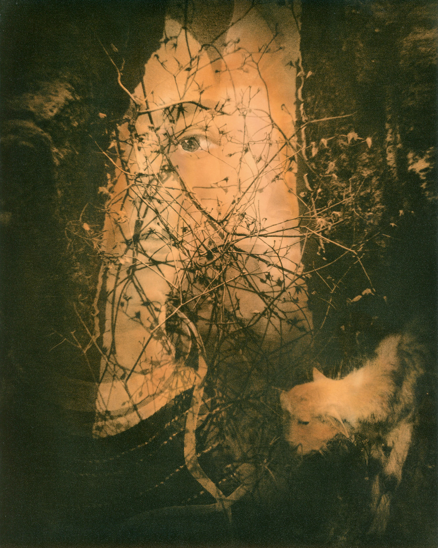 BEST IN SHOW - Amy Kanka Valadarsky - Untitled #11 - photograph - www.amykankaphotography.com