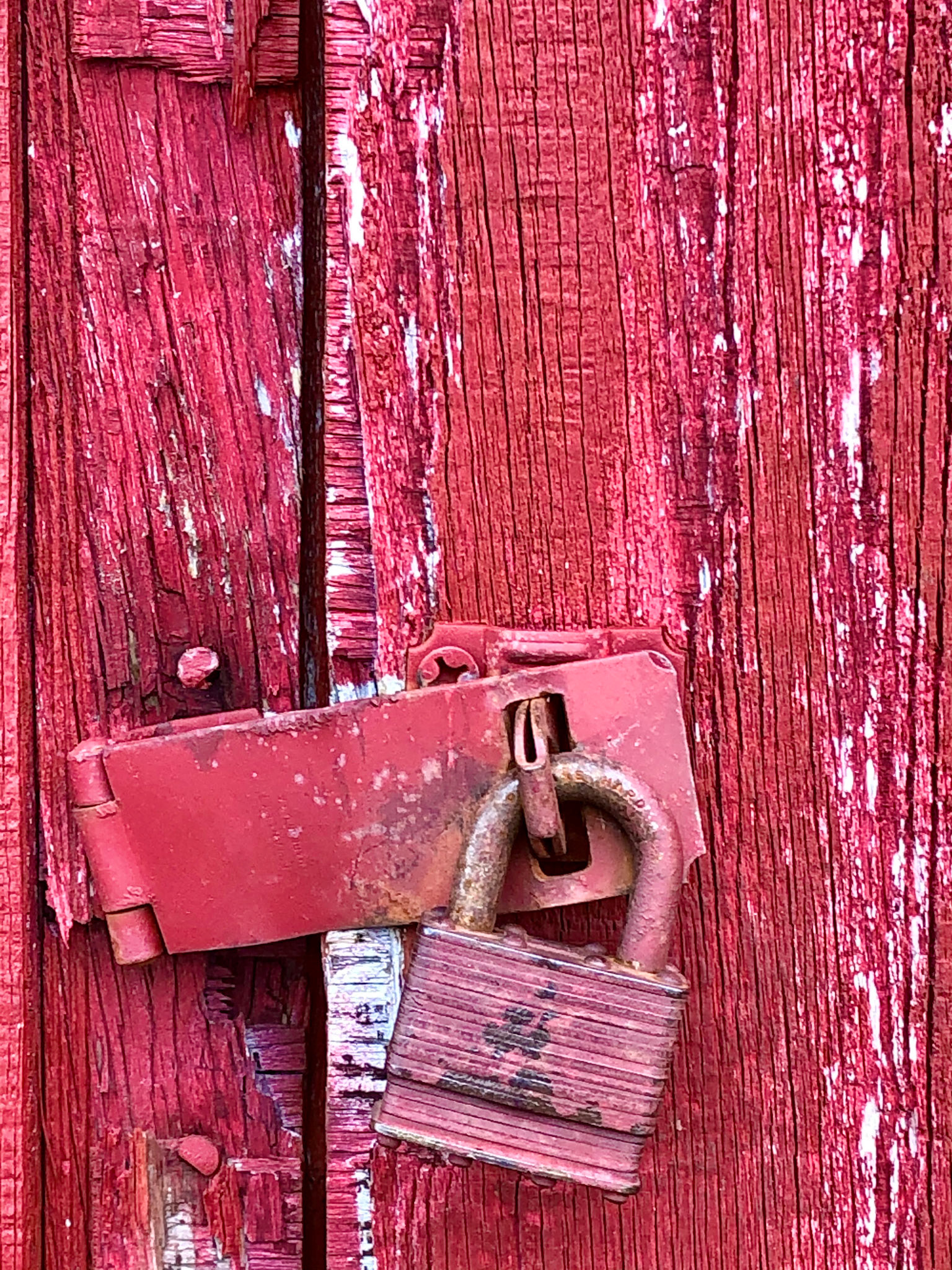 Patty Dysart - Red Lockup - photography