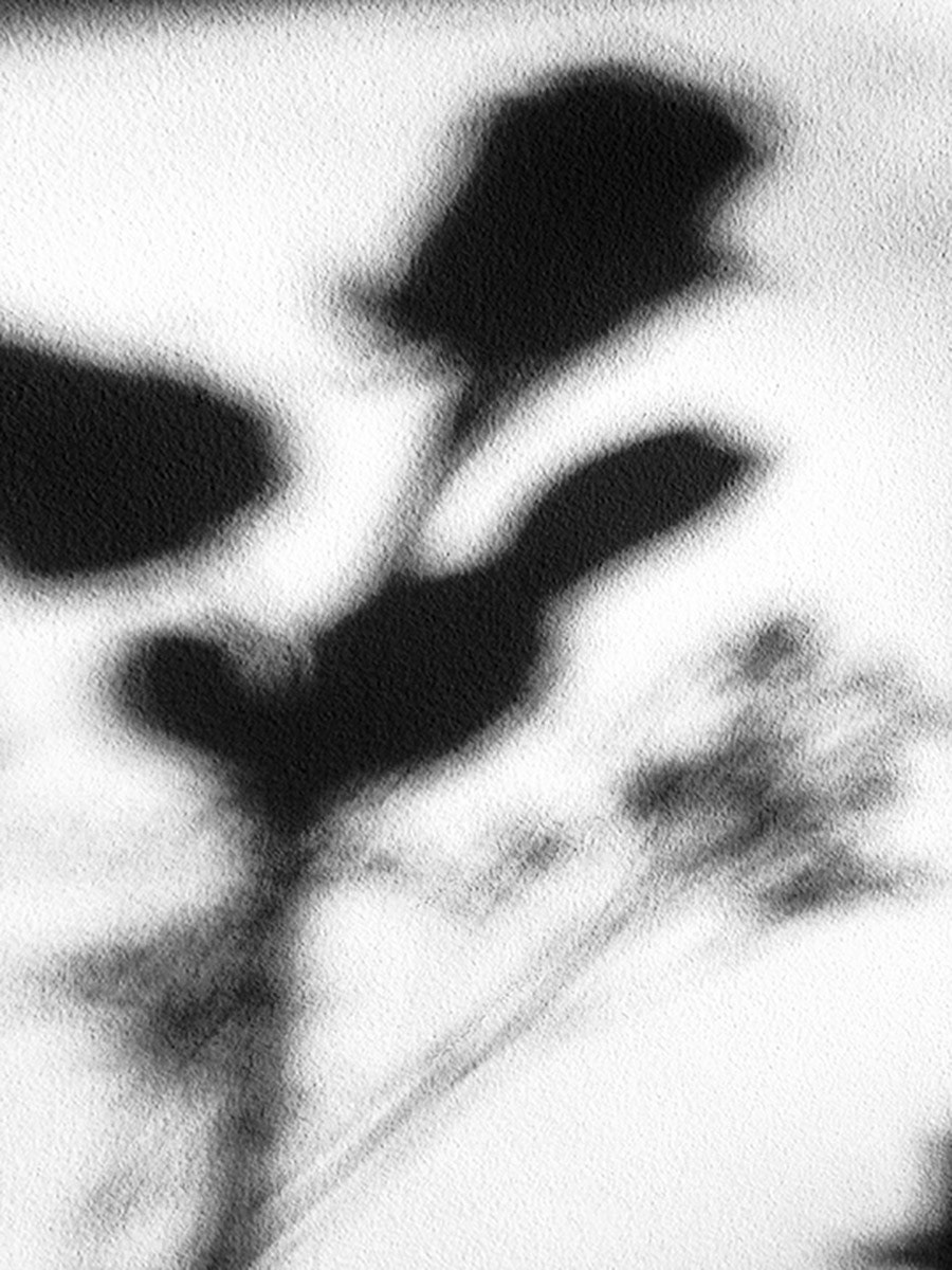 David Quinn  -  Cabin Fever (series)  -  photograph  -  www.dquinnphotography.com