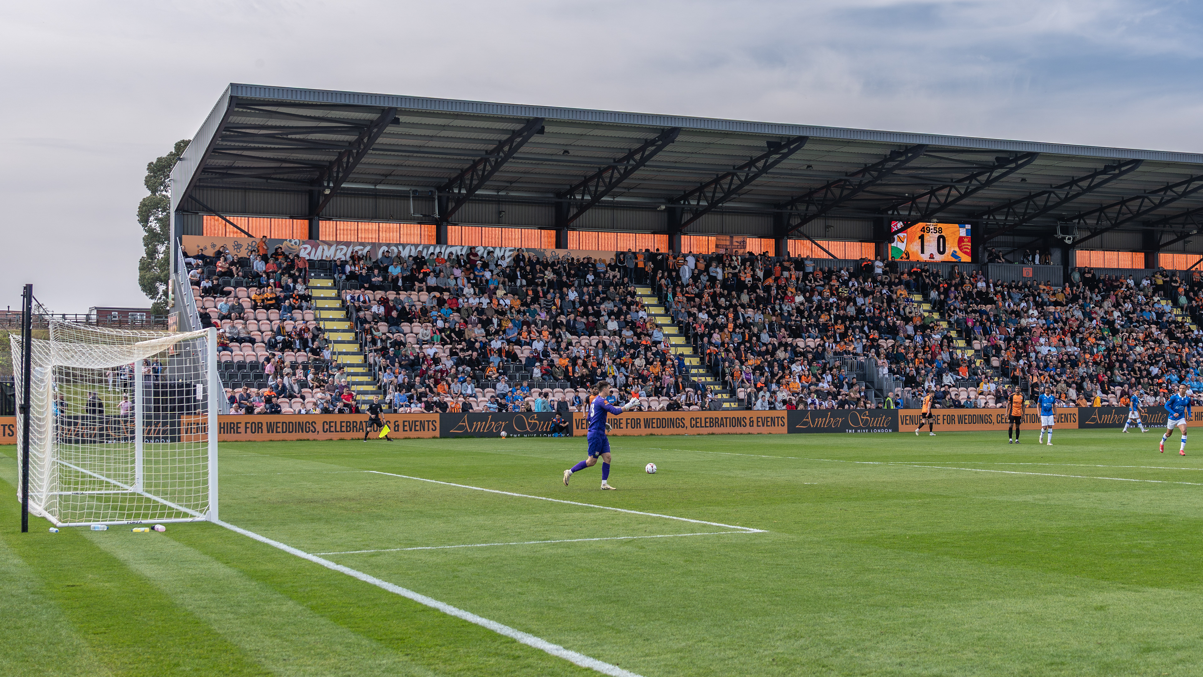Bees fans