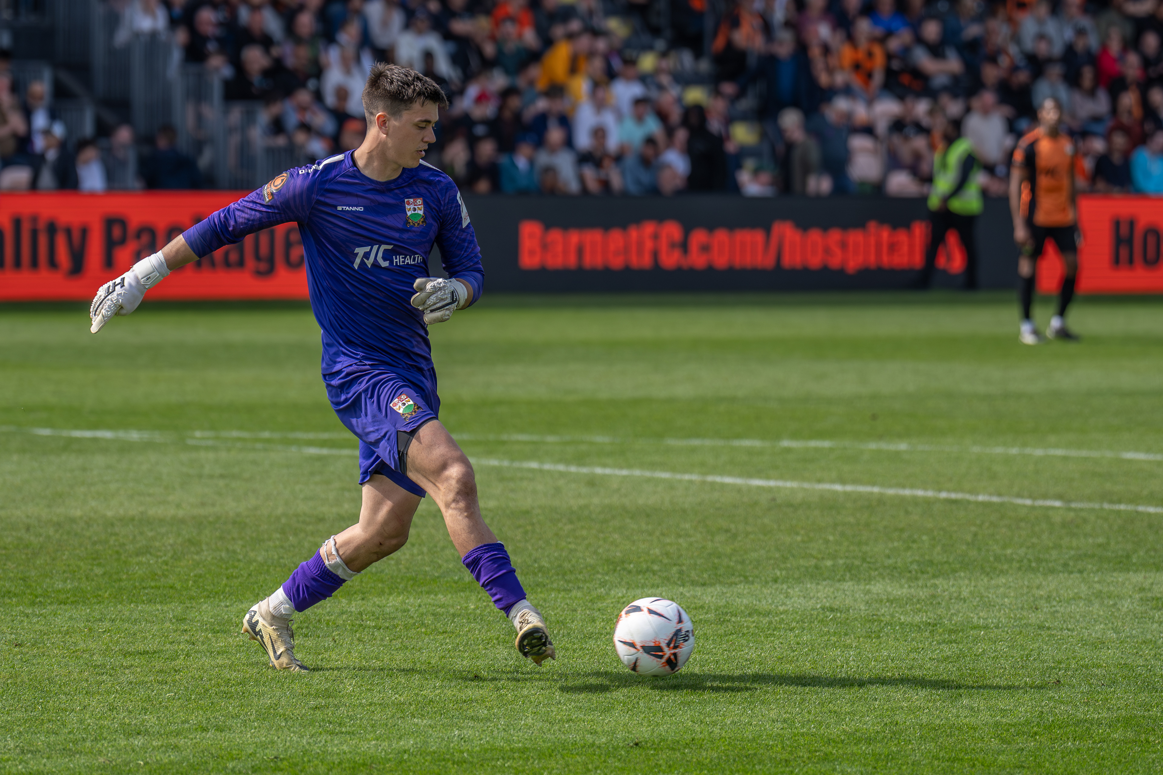 Bees stopper Evans