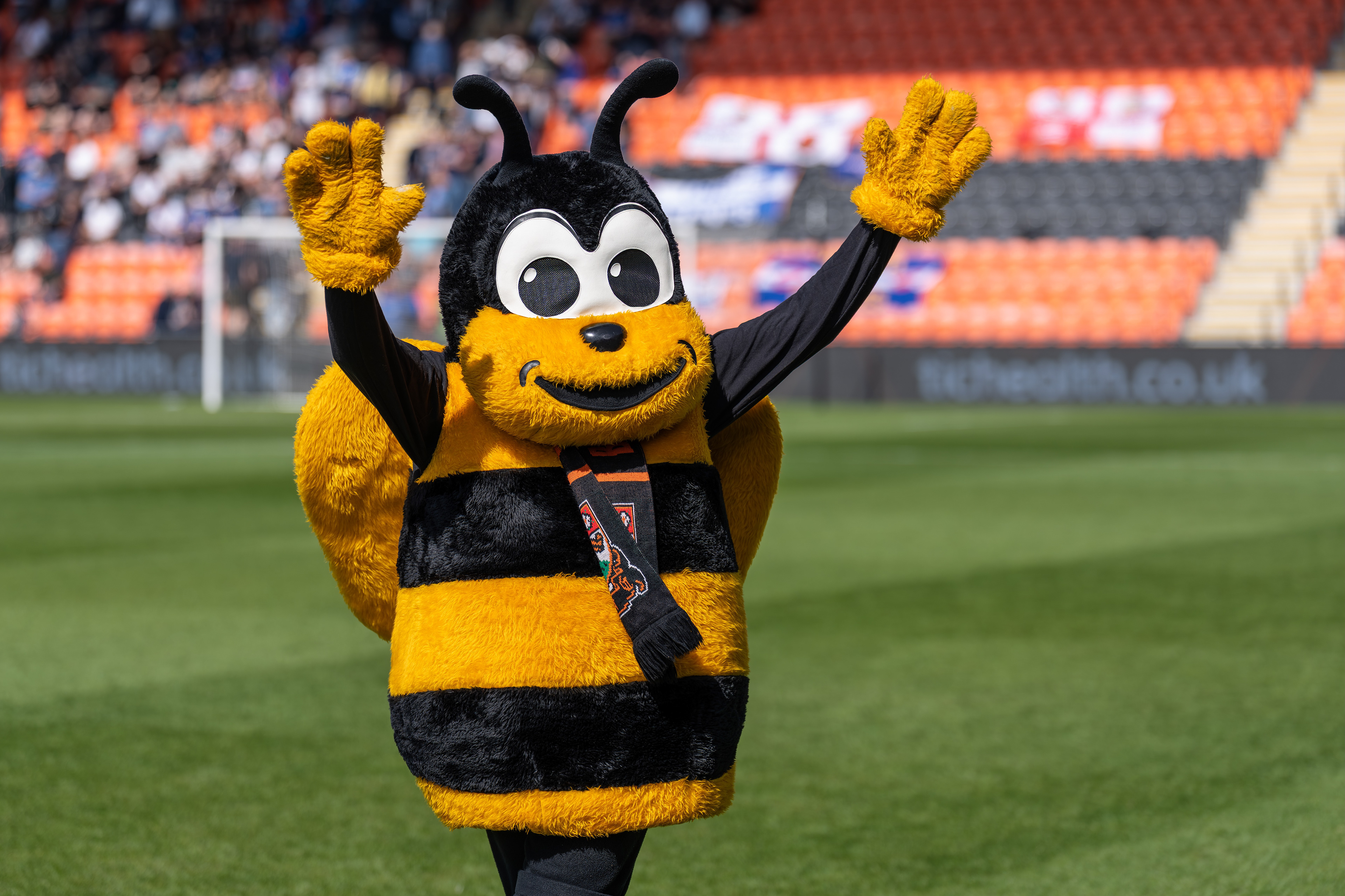 Bees mascot
