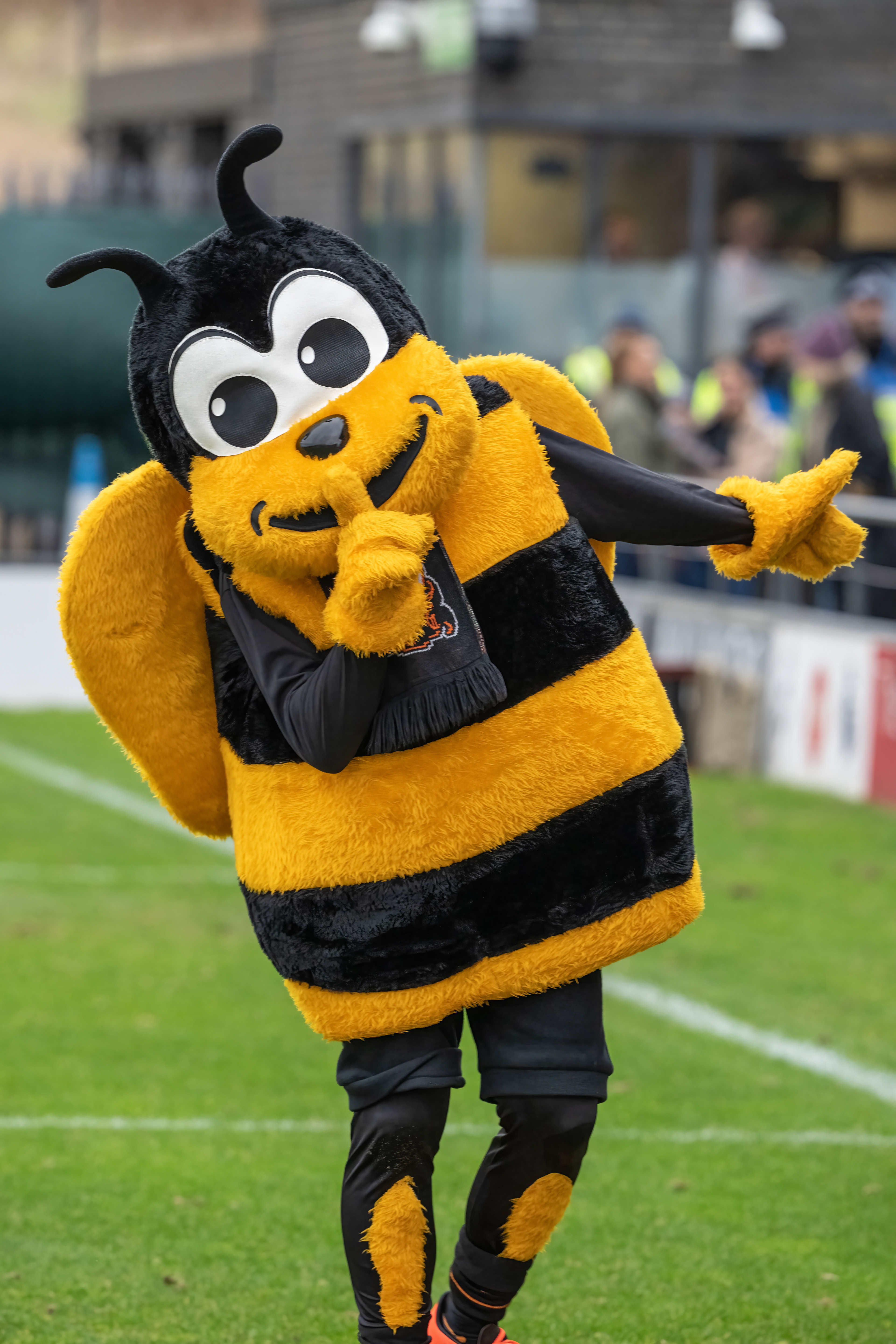 Bees mascot