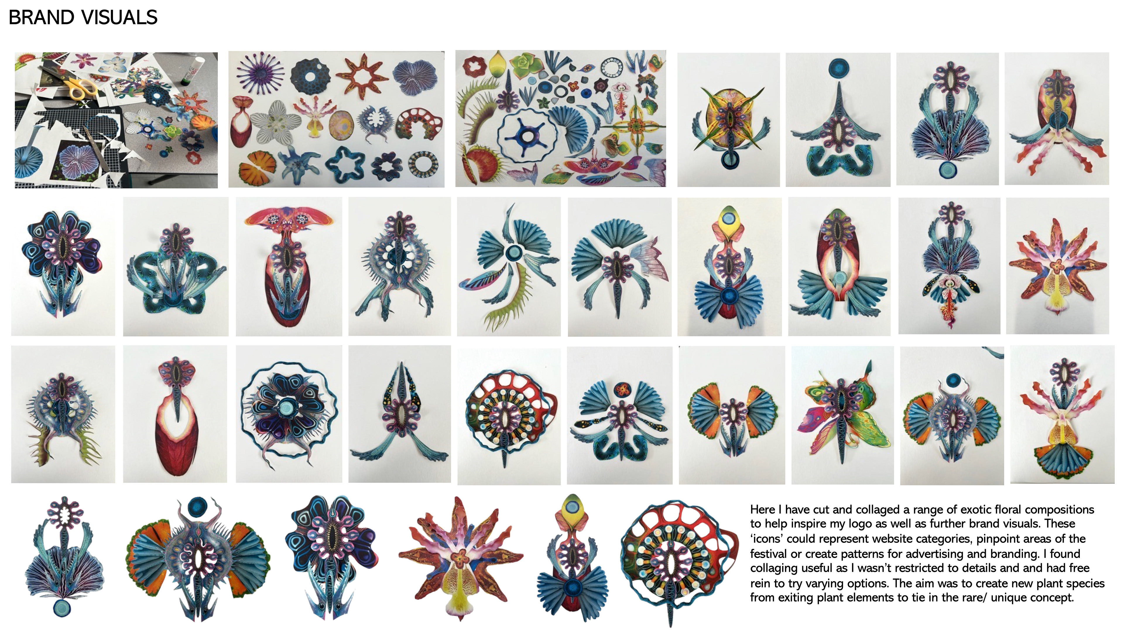 Brand visual asset development through collage