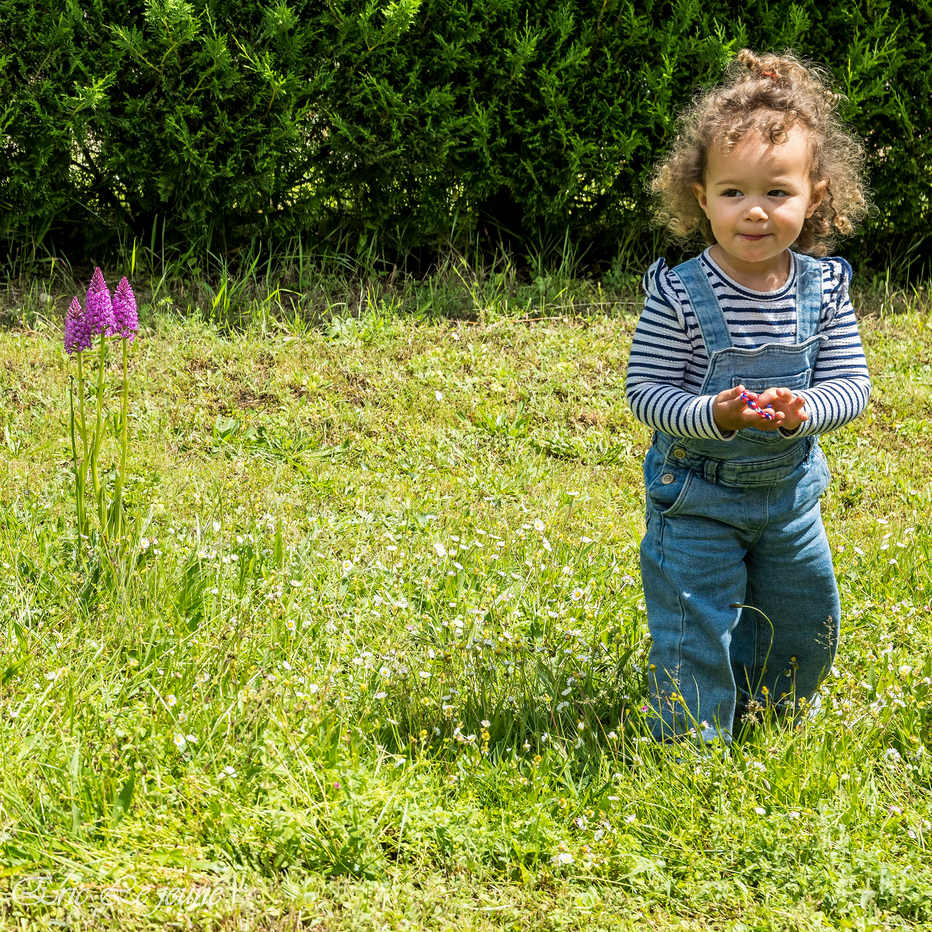 Petite fleur deviendra grande