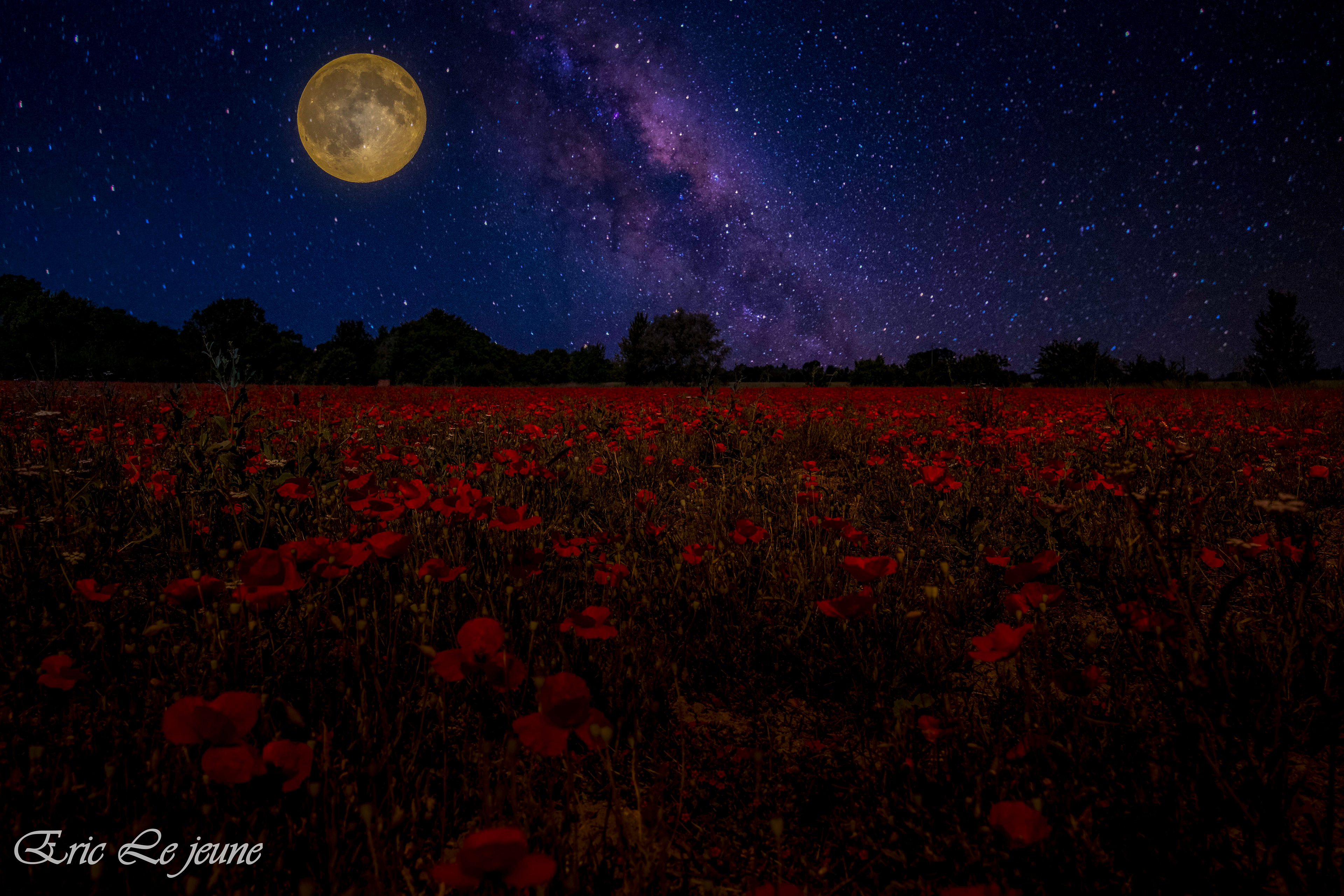 Launaguet magie du photo montage