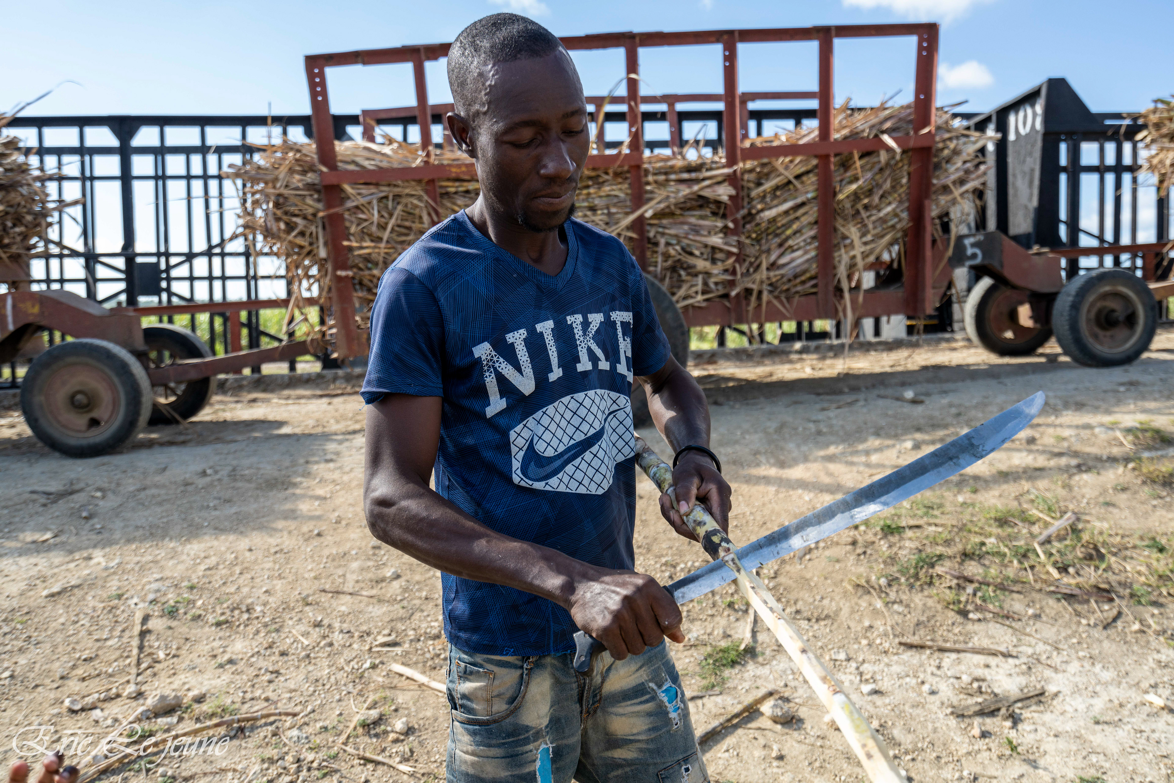 Coupeur de cannes à sucre