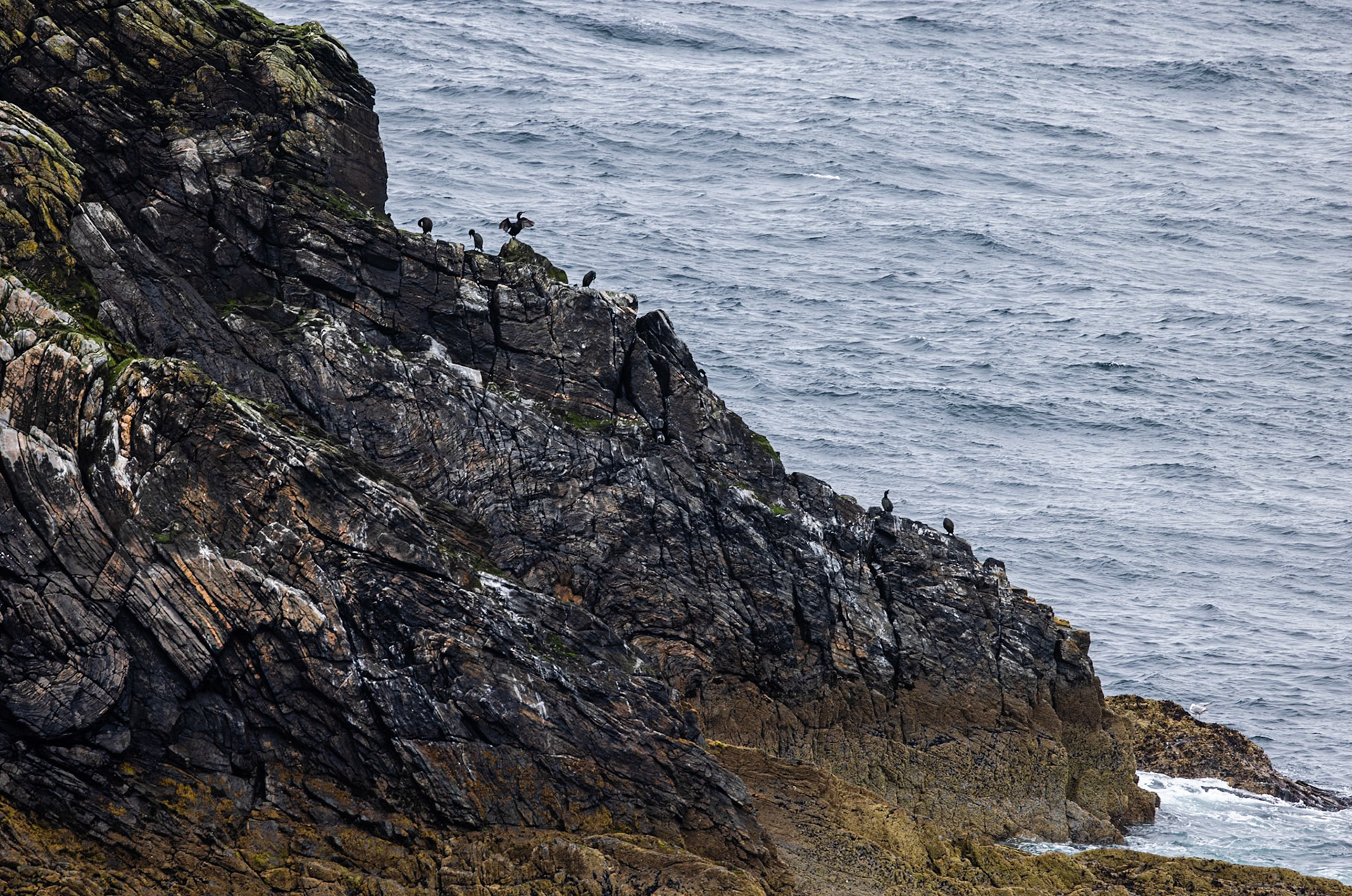 Point of Ness, Isle of Lewis. May 2024