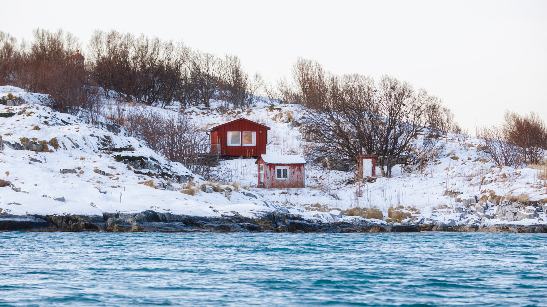 Senja, Norway. January 2018