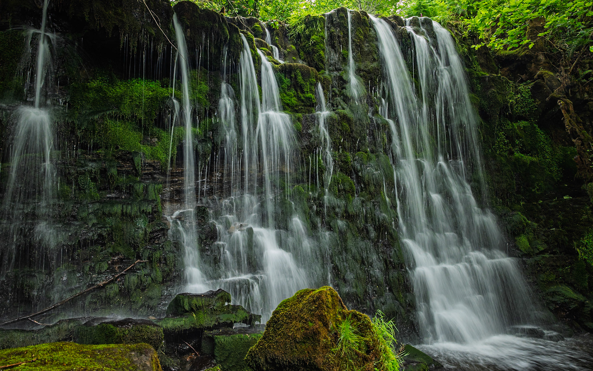 Scale Haw Force