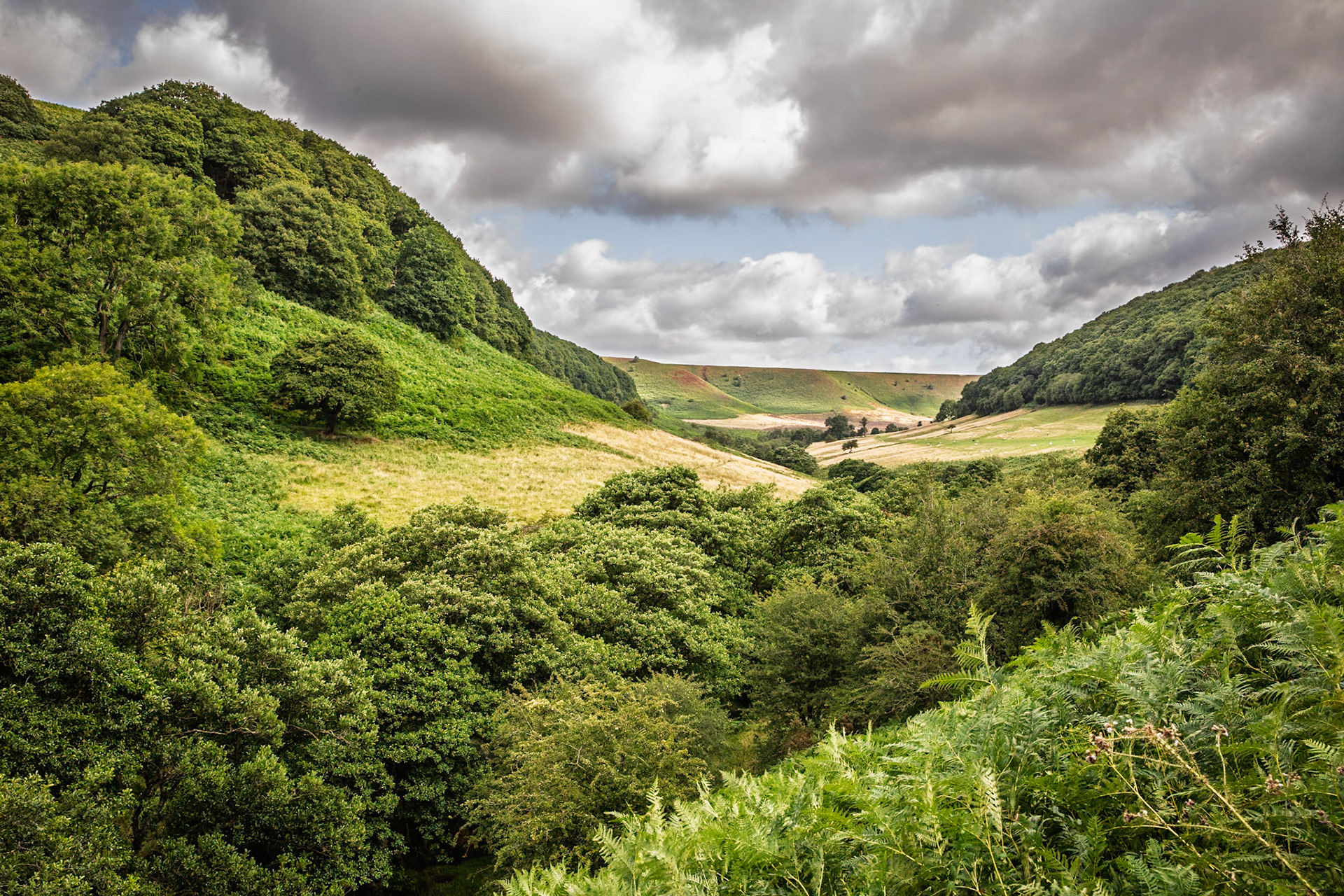 Hole-of-Horcum