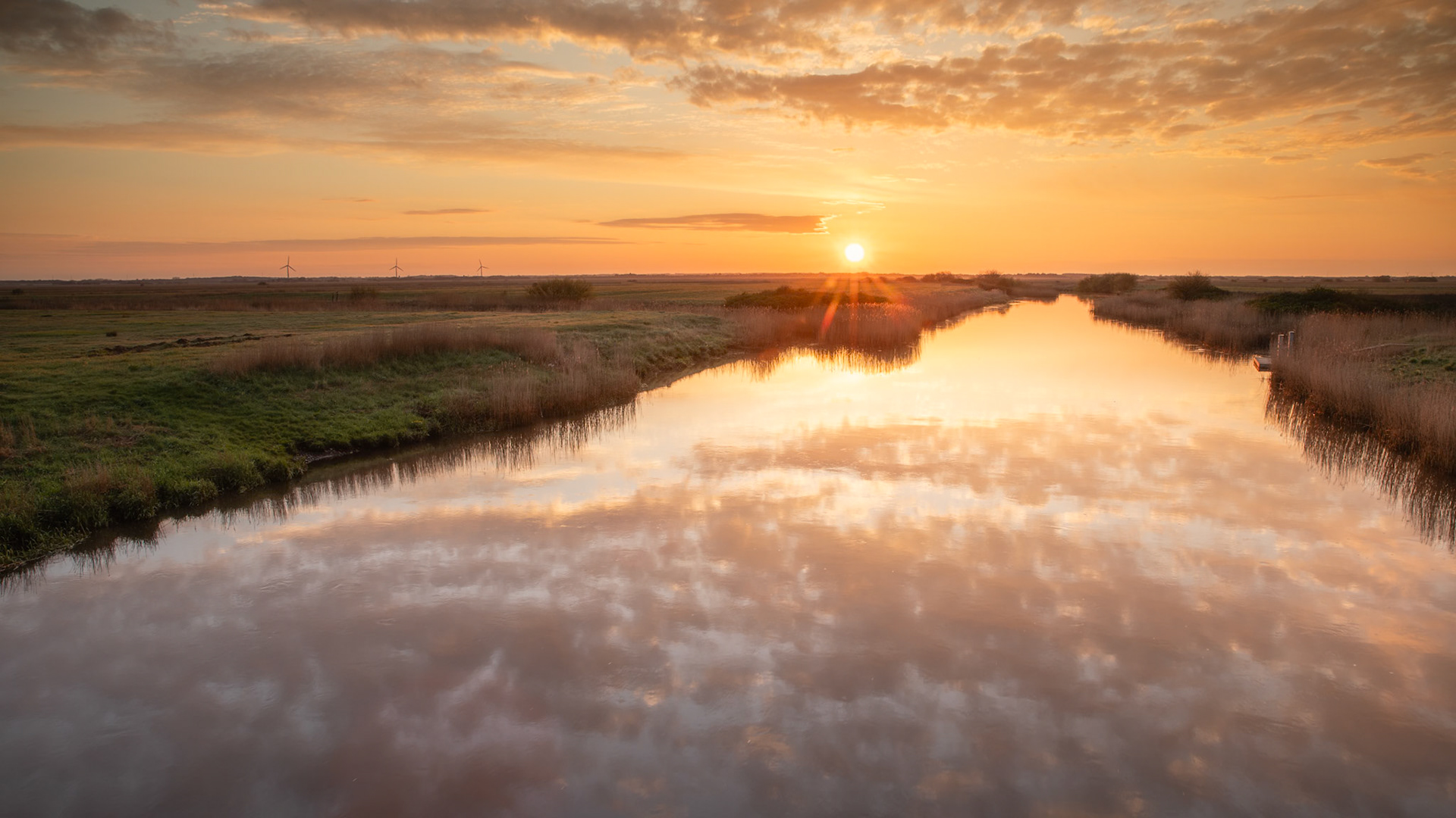 Vester Vedsted, Denmark. April 2018