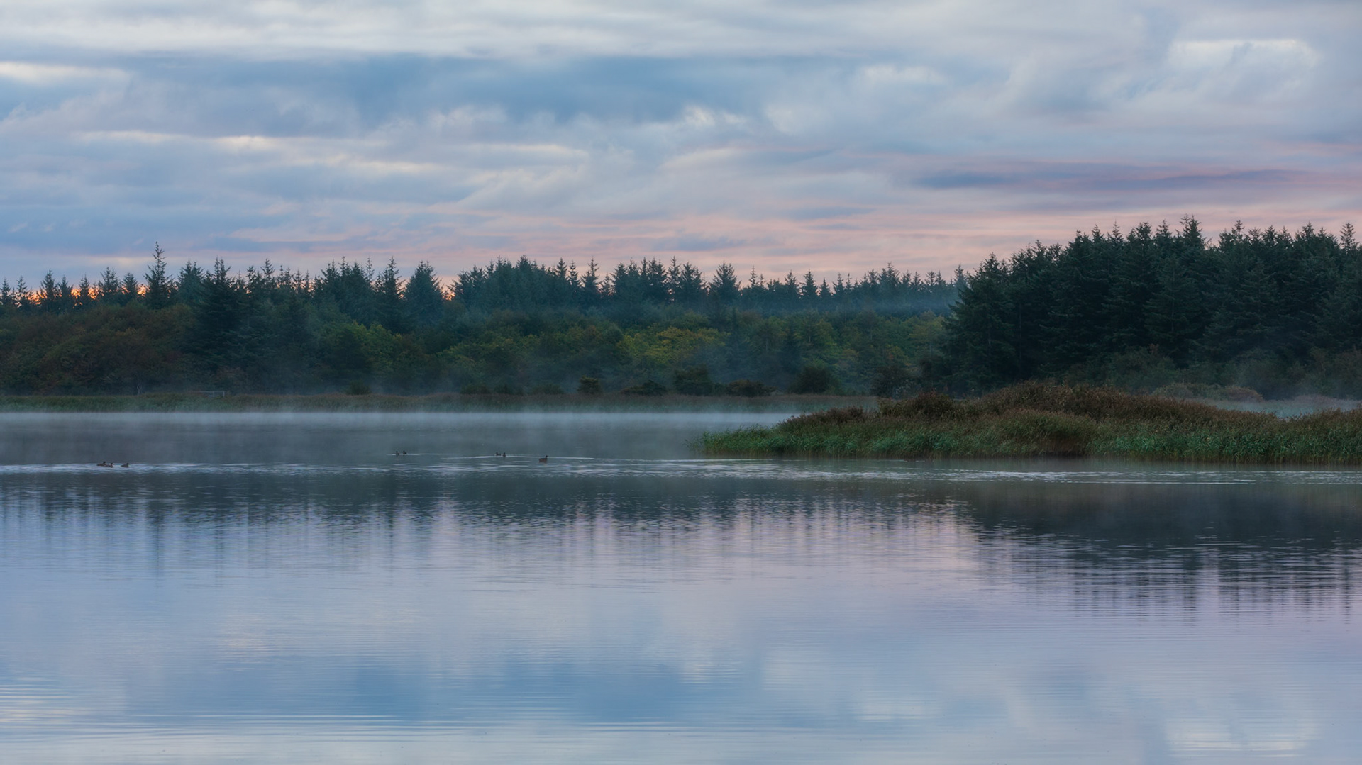 Marbæk, Denmark. September 2018
