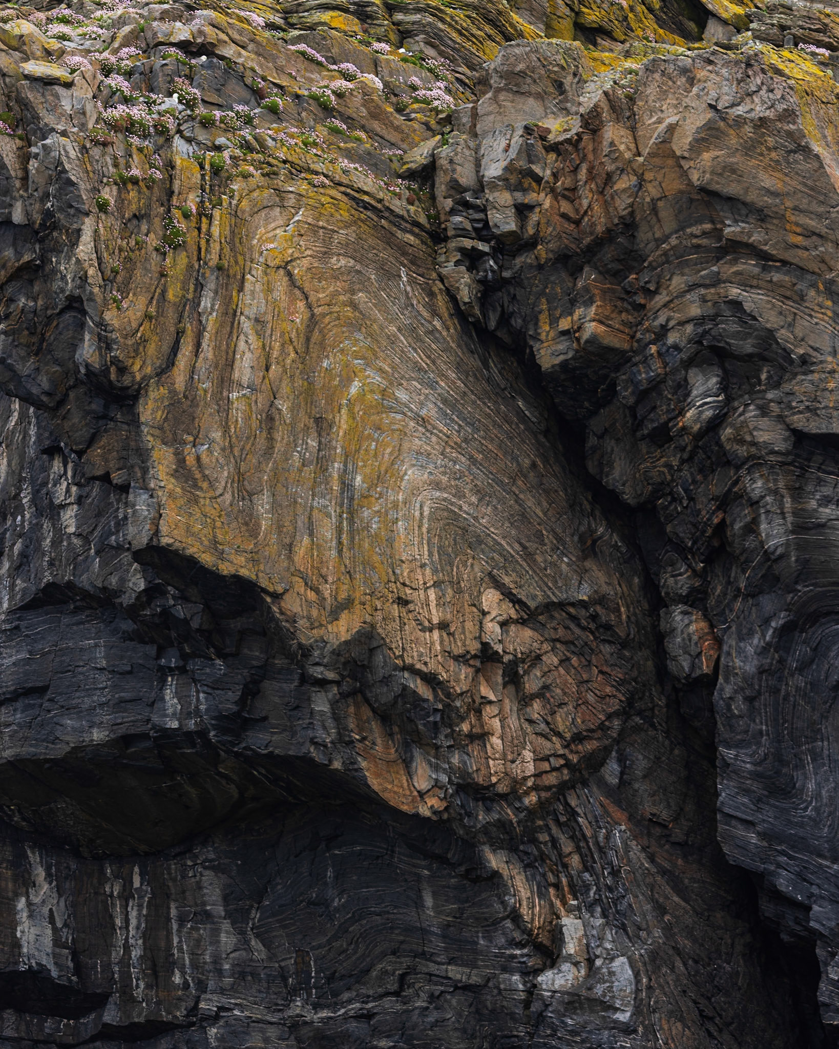 Point of Ness, Isle of Lewis. May 2024