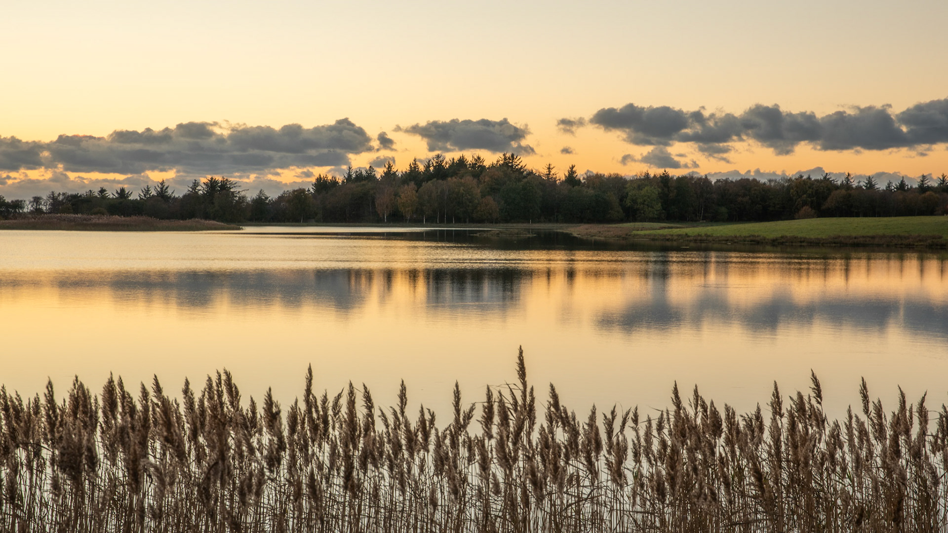 Marbæk, Denmark. October 2018
