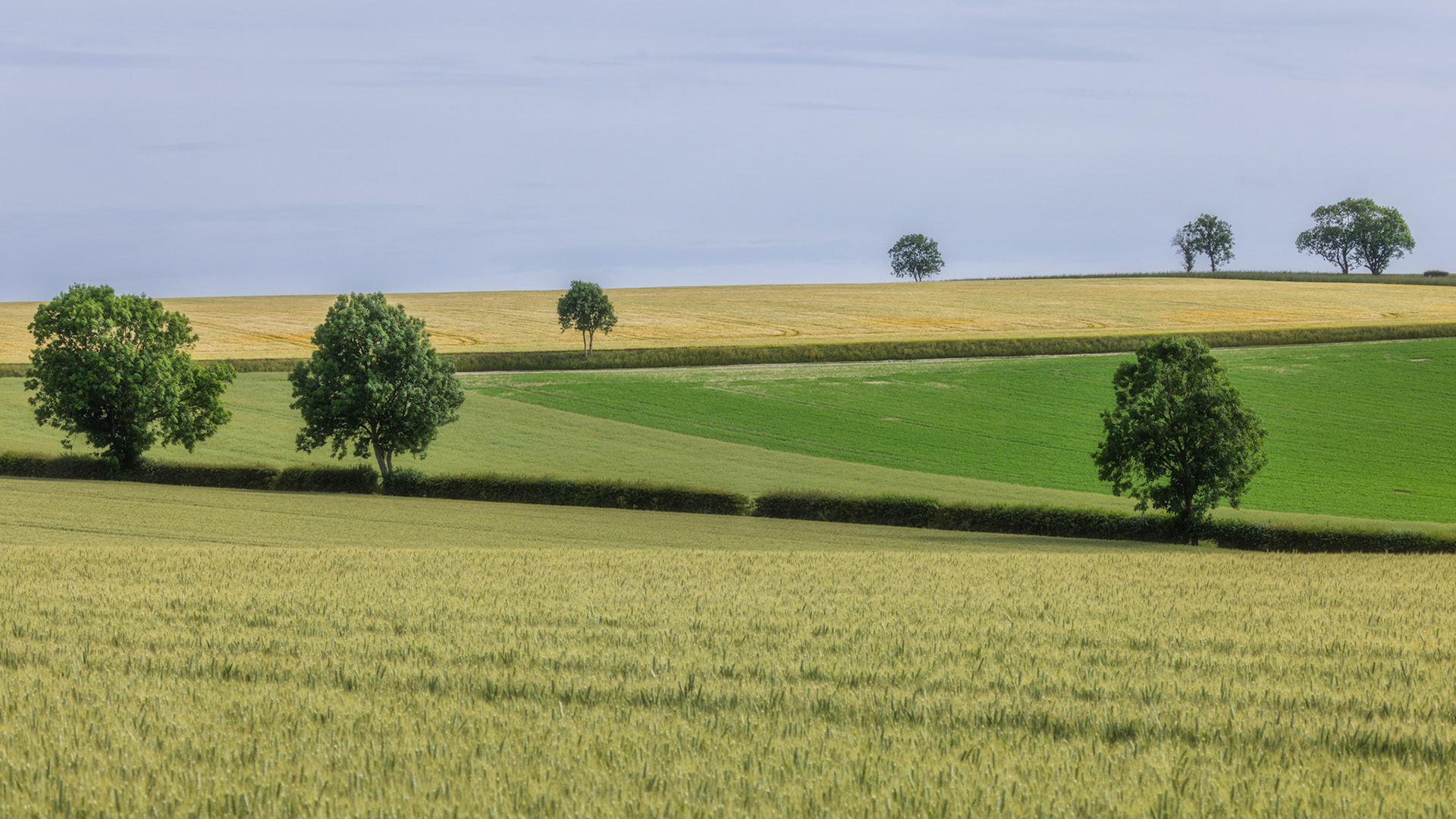 East Lutton