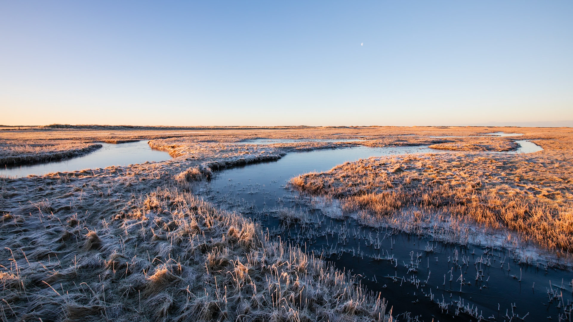 Skalingen, Denmark. January 2018