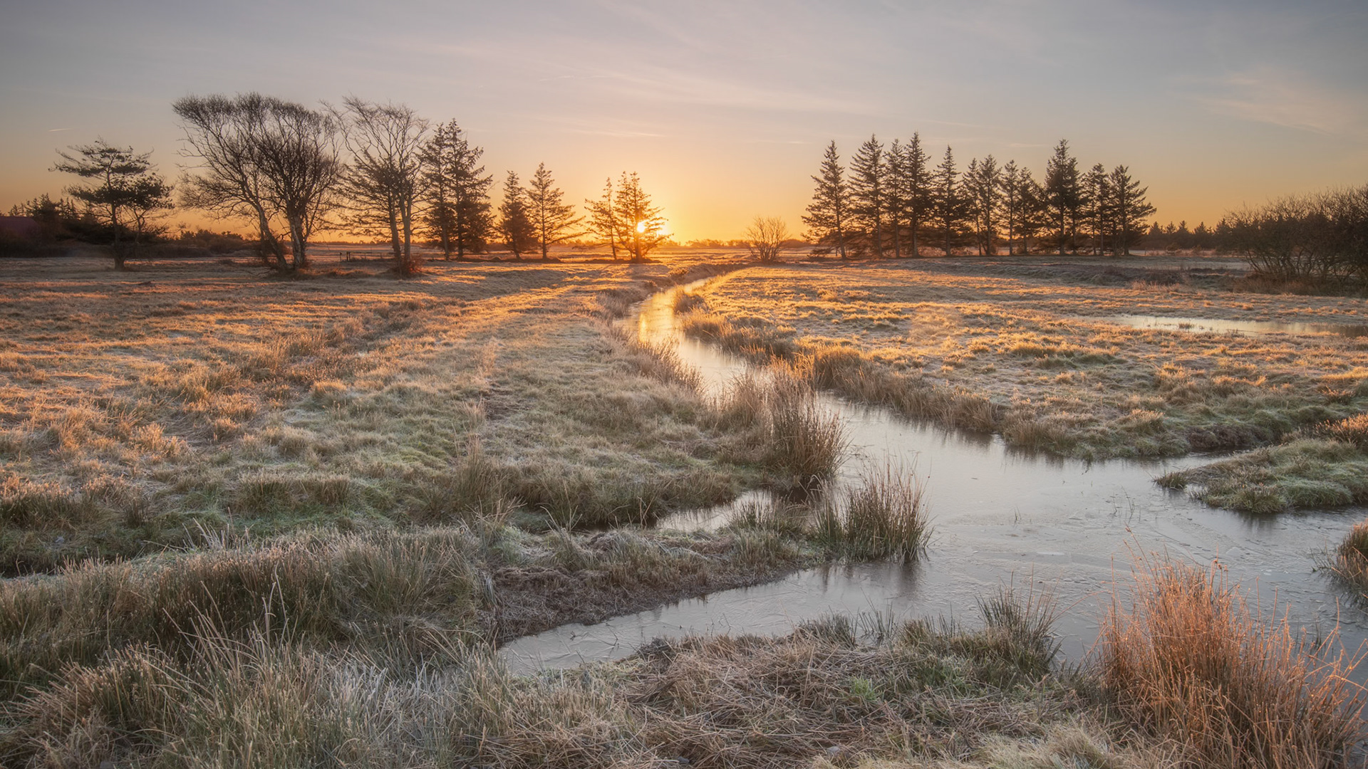 Børmose, Denmark. December 2017