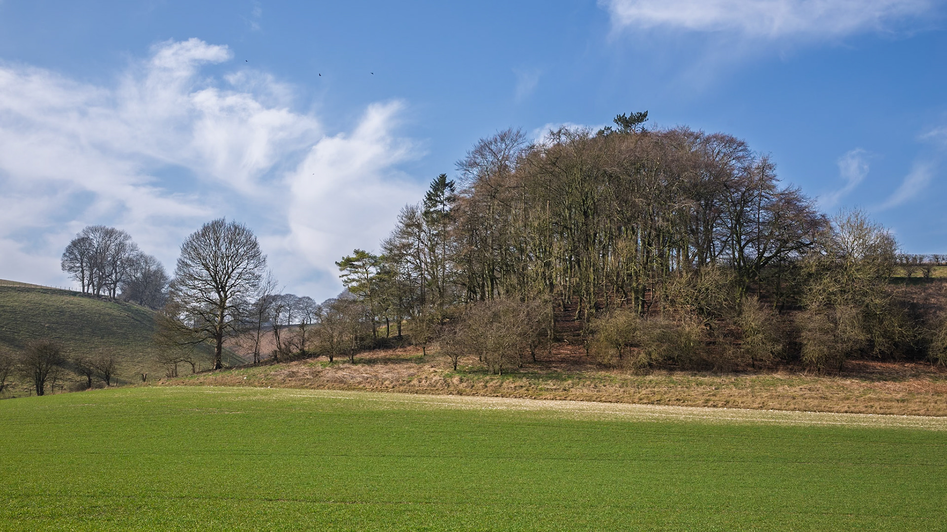 Thixendale