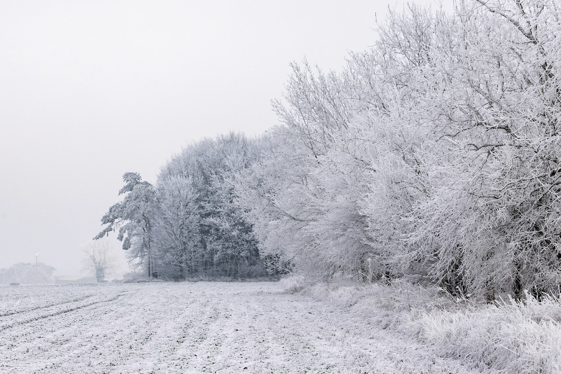 East Yorkshire. December 2022