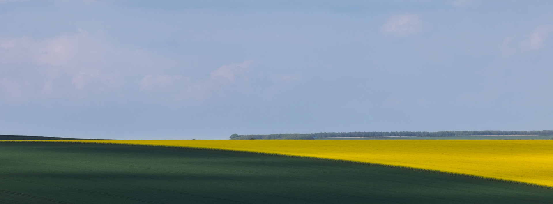 Yellow and green crop fields under a blue sky