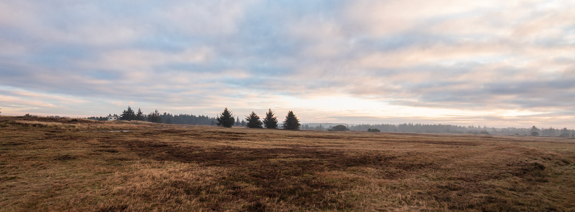 Oksbøl, Denmark. January 2018