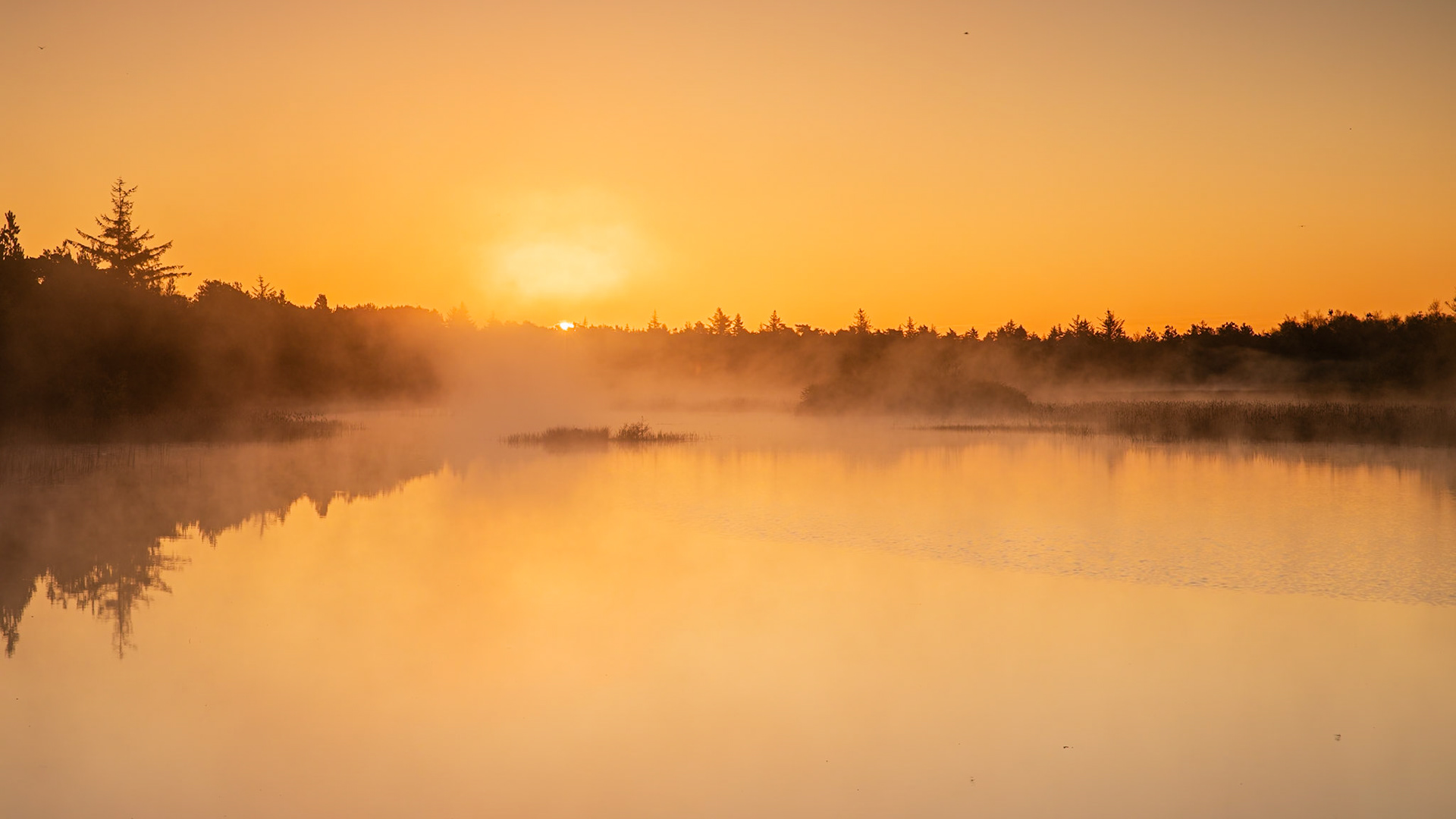 Marbæk, Denmark. June 2018