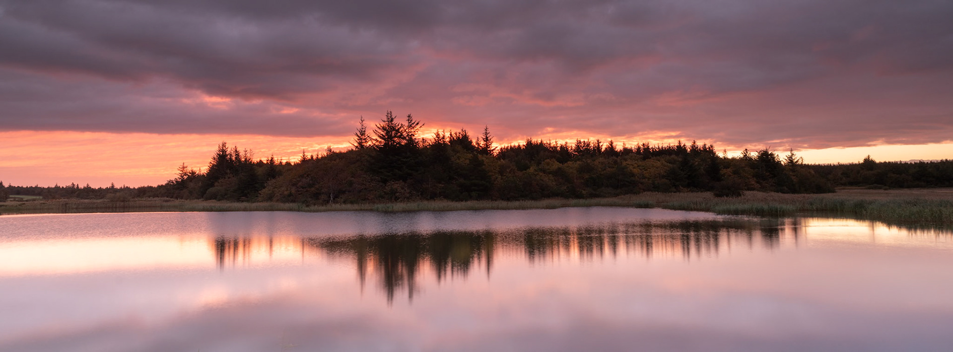 trees reflected in a mirror calm lake under a fiery red dawn sky