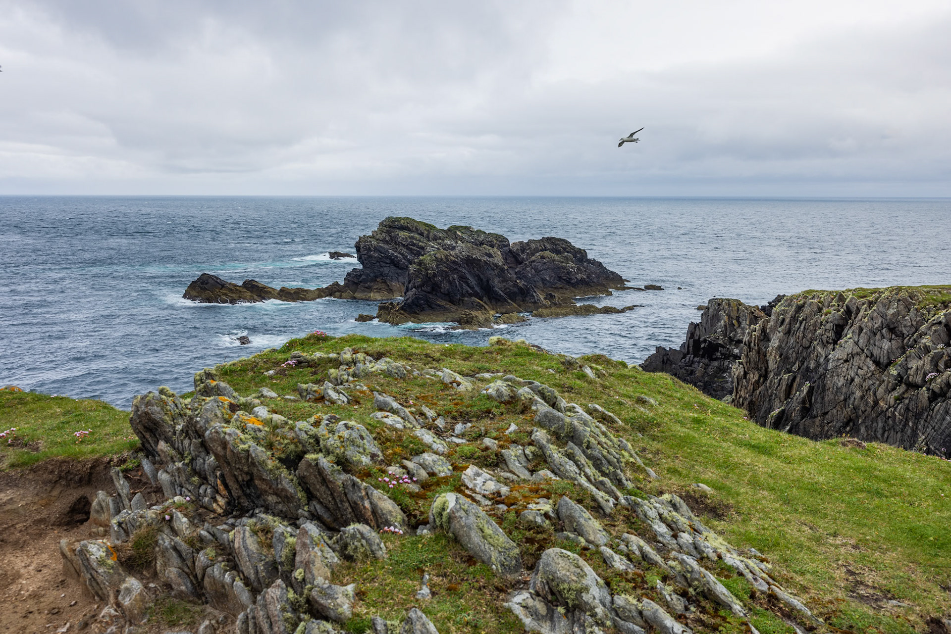 Point of Ness, Isle of Lewis. May 2024