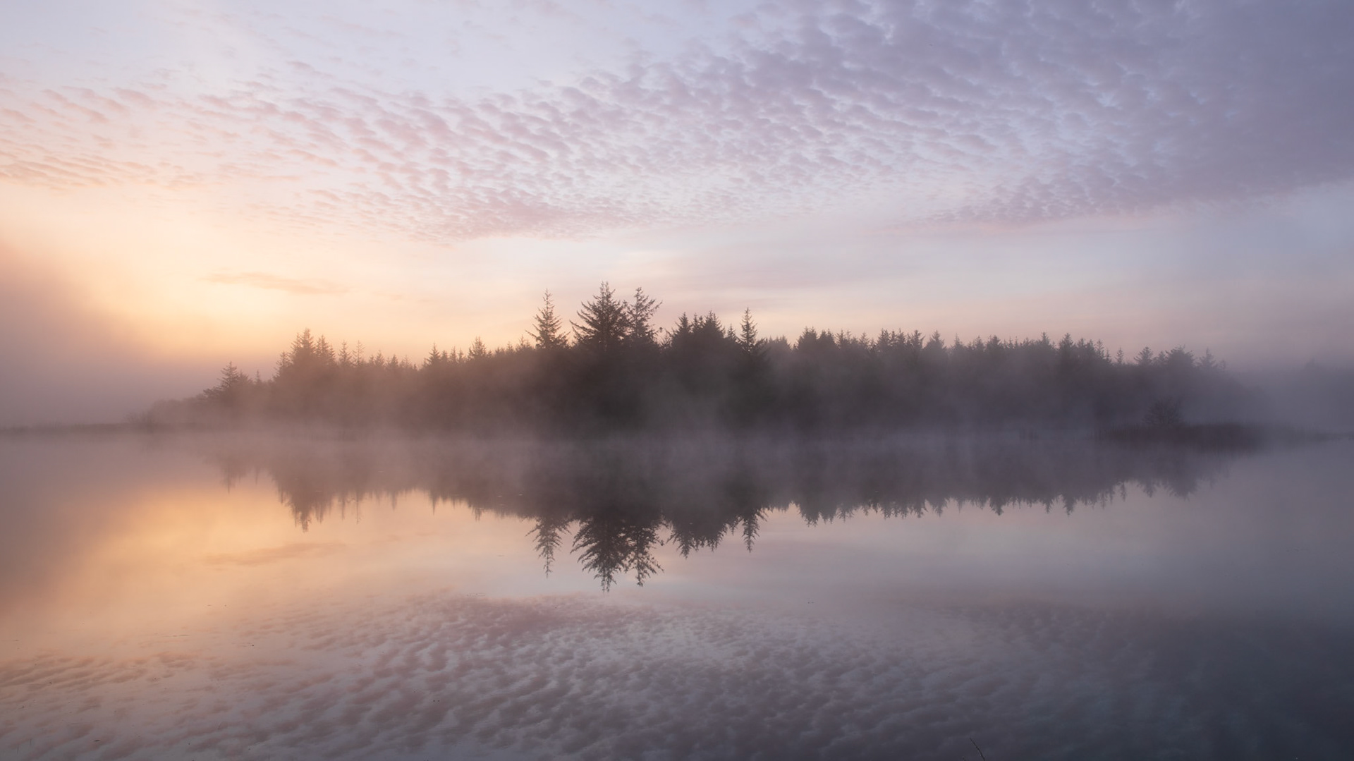 Marbæk, Denmark. April 2018