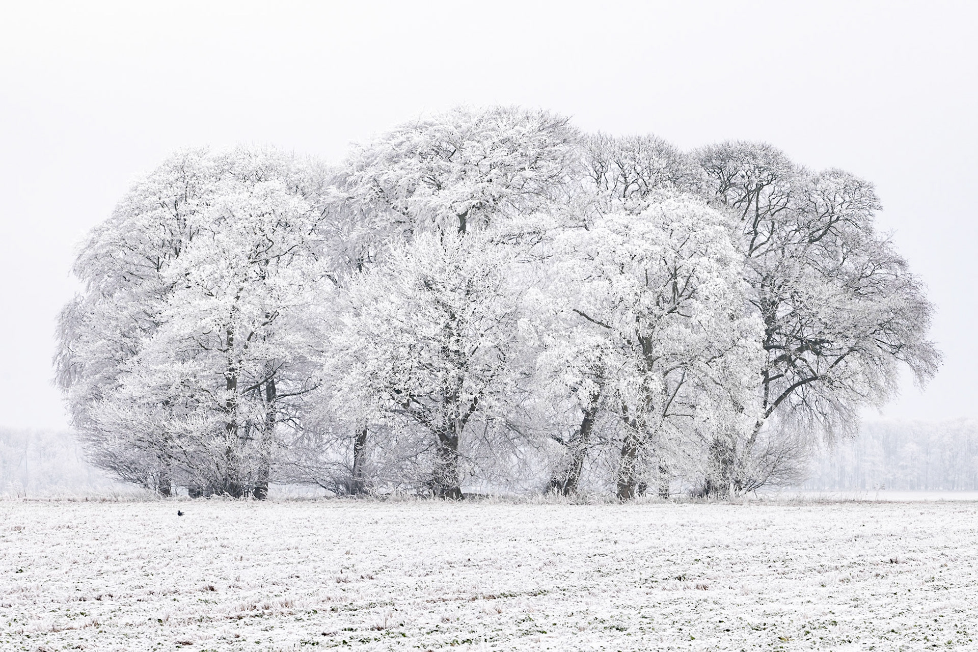 East Yorkshire. December 2022