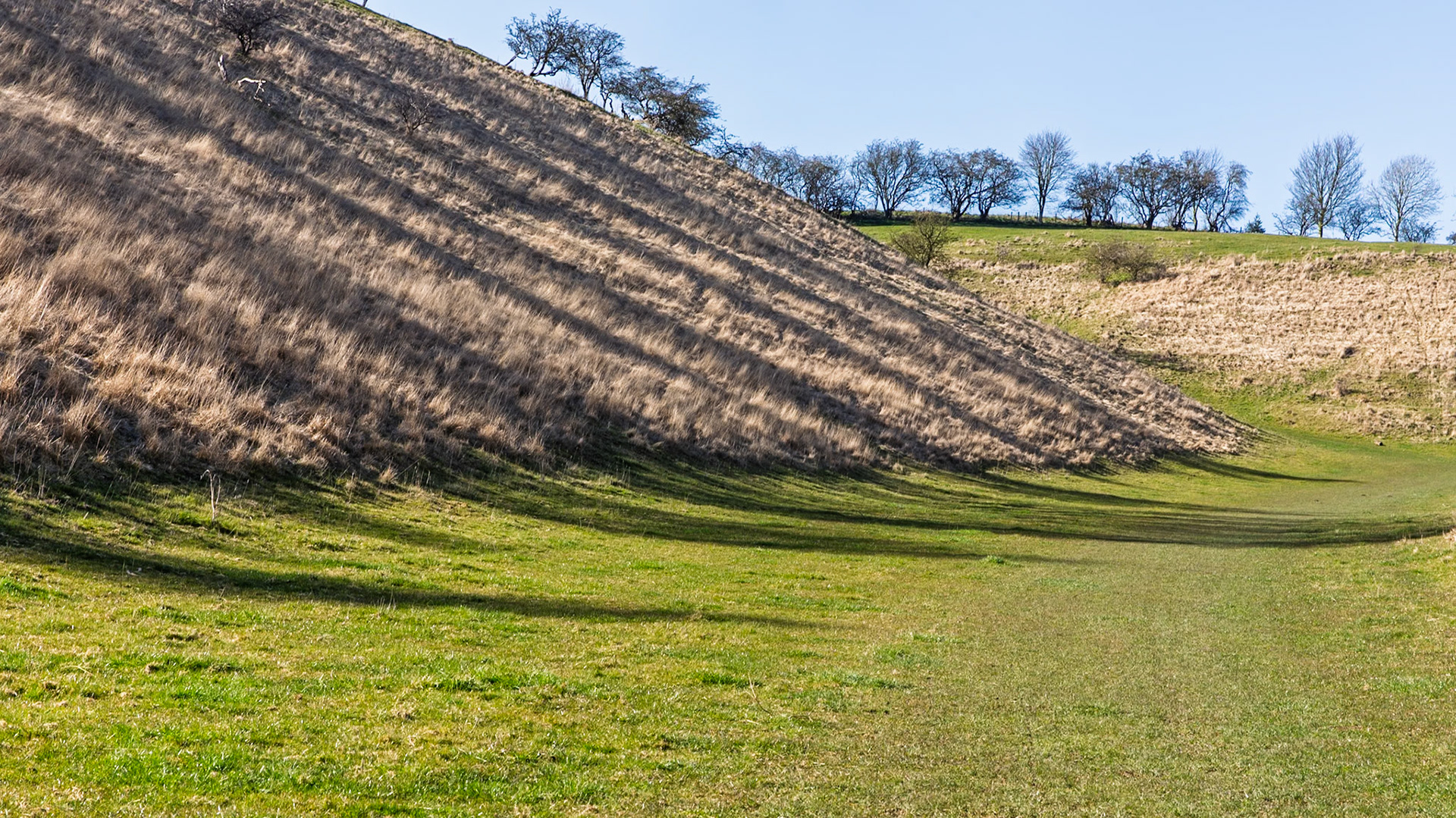 Holme Dale