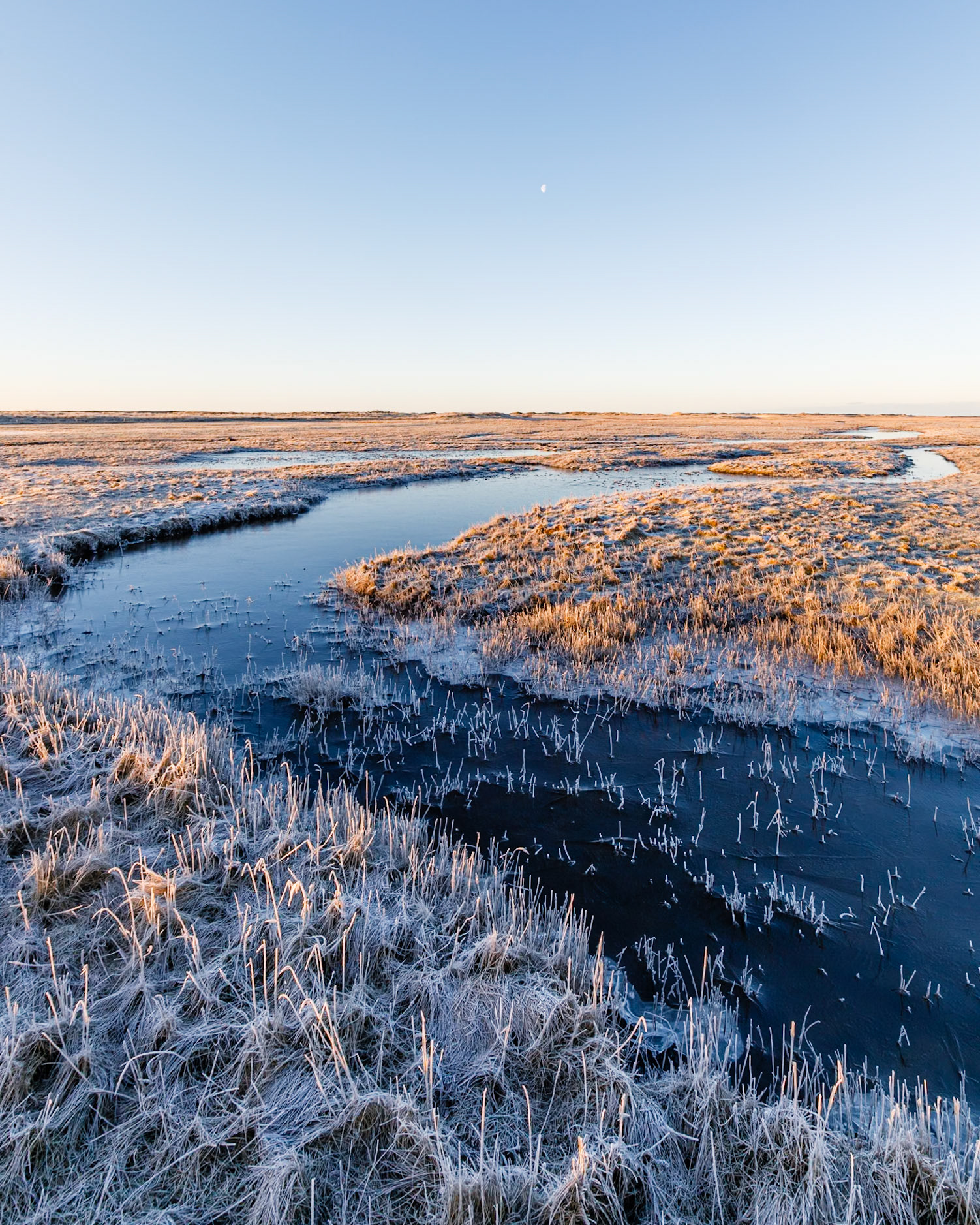 Skalingen, Denmark. January 2018