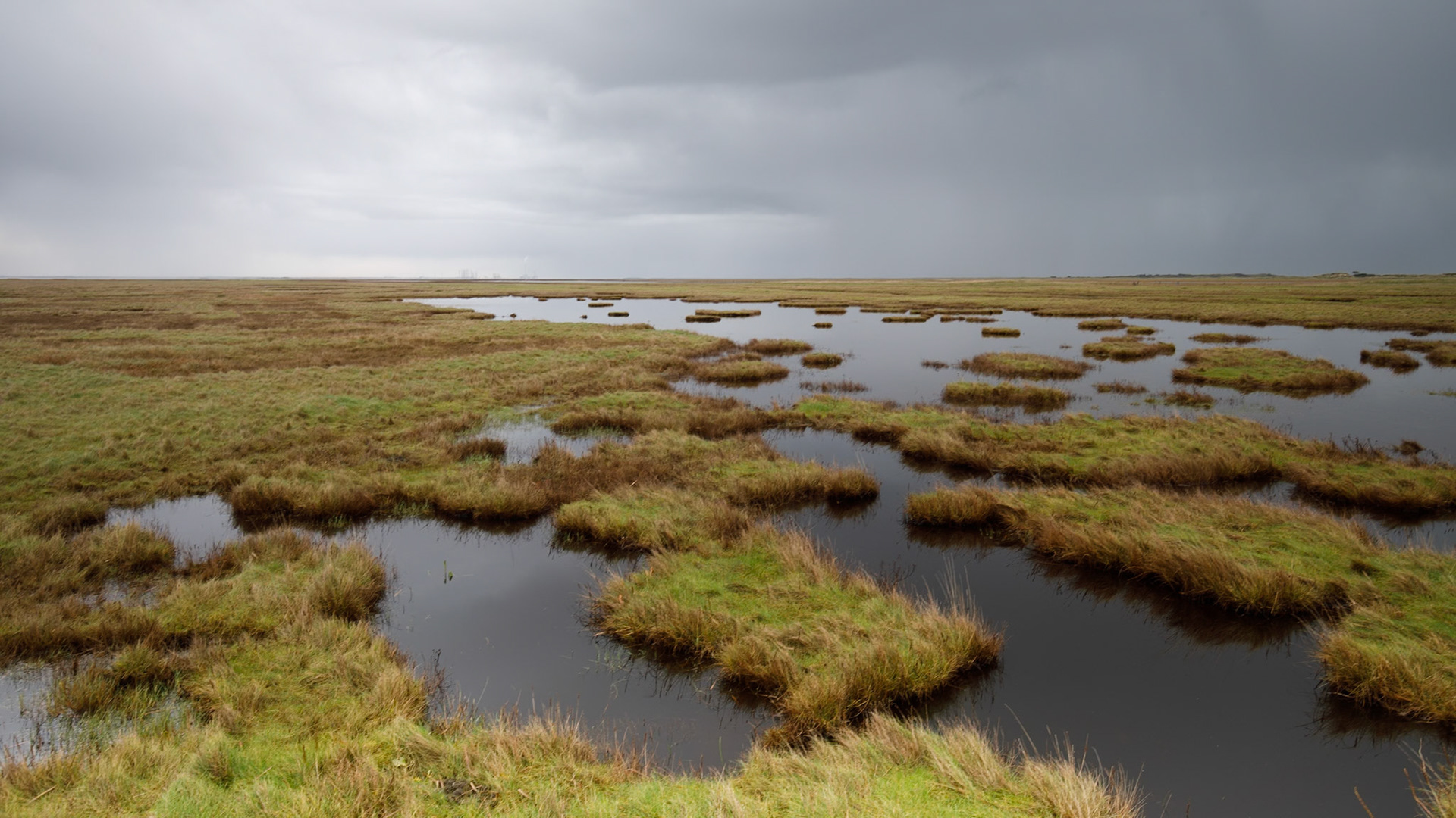 Skalingen, Denmark. November 2017