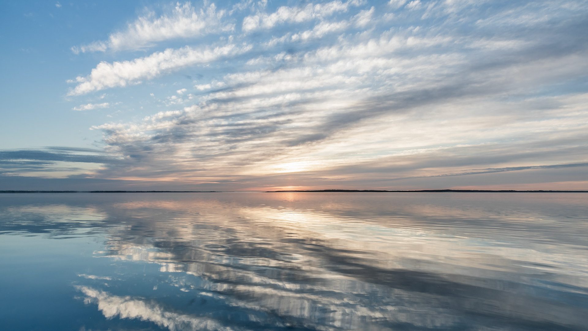 Ho Bugt, Denmark. May 2018