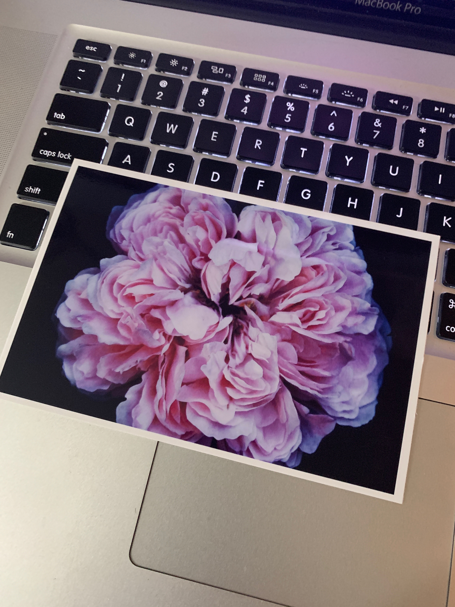I love printing out my own work.