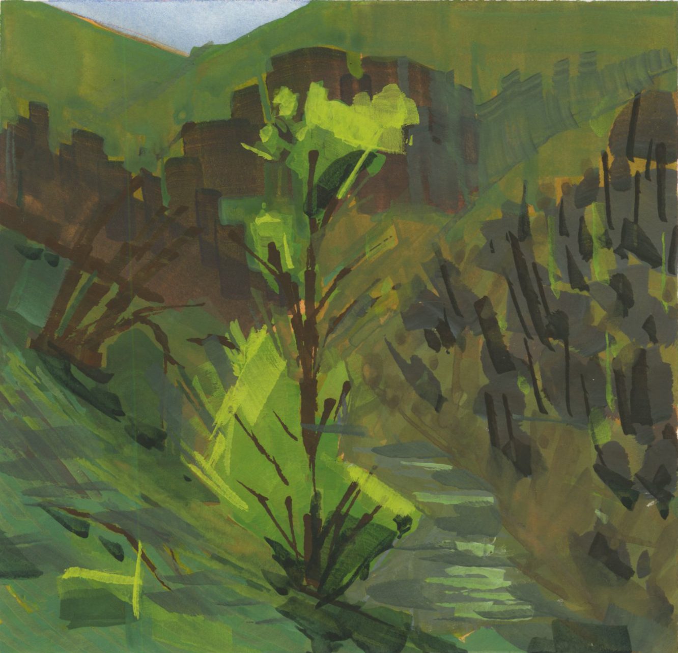 A very green tree