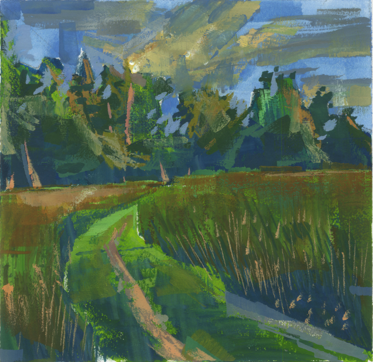 Meadow