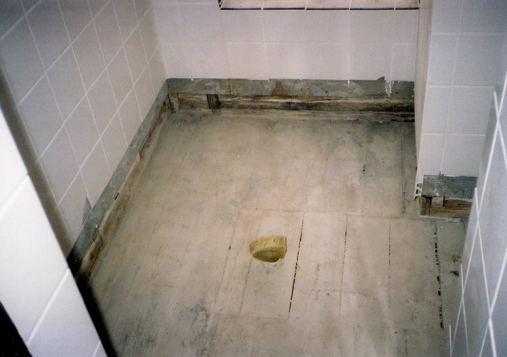 Day 2: clean and assess