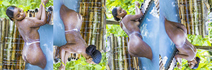 BrownSugar_01-4