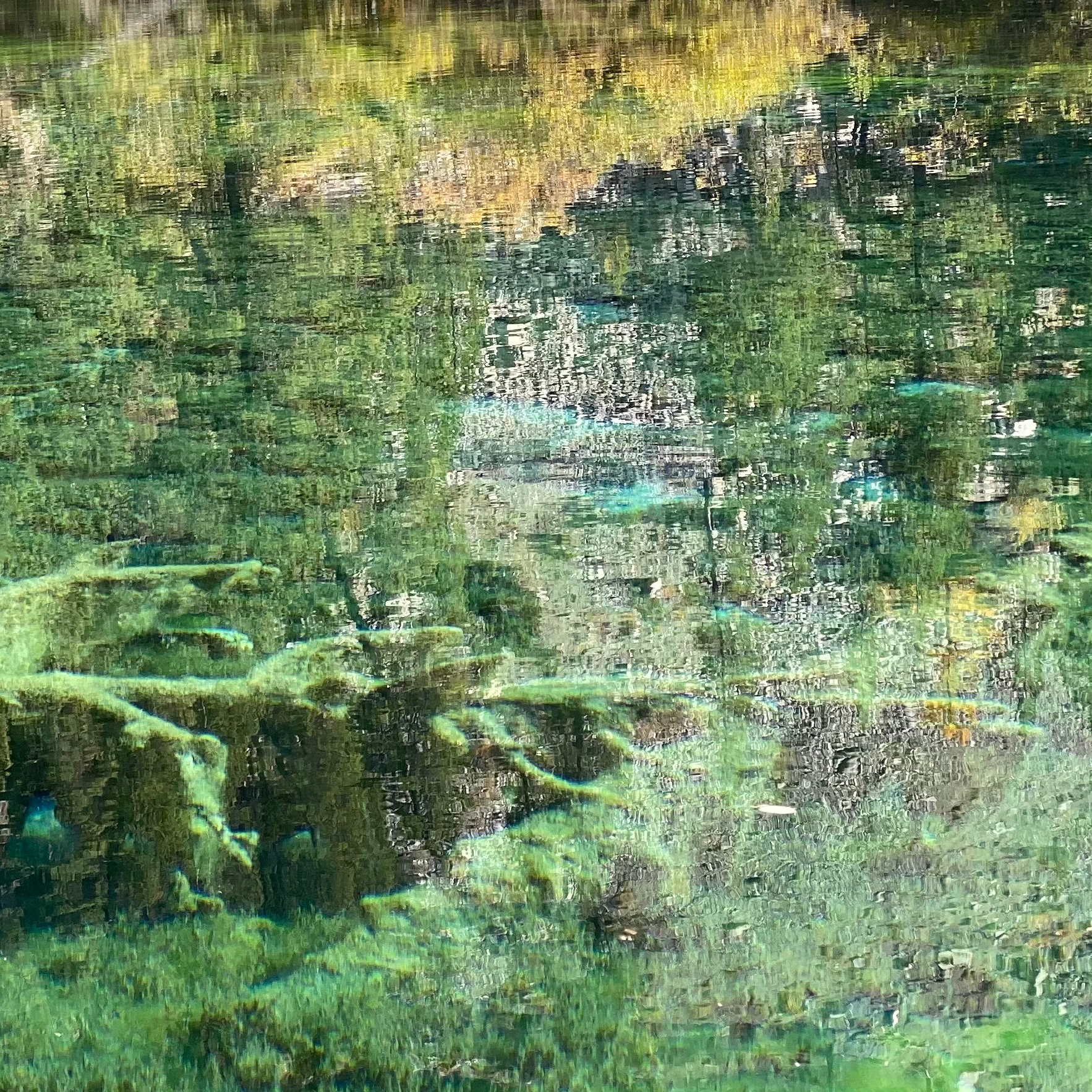 Lac vert-2022