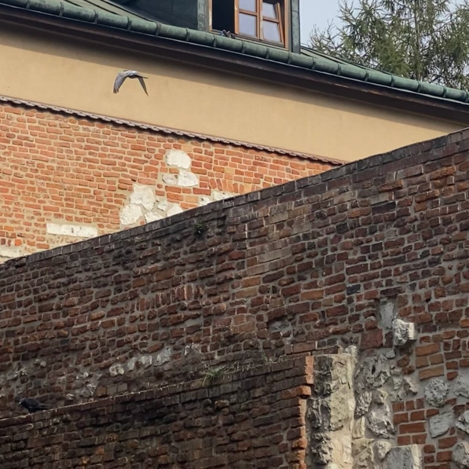 Krakow-2022