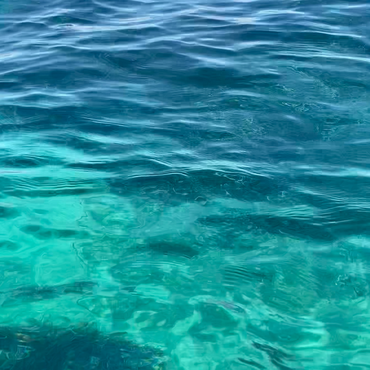 Lérins-2022